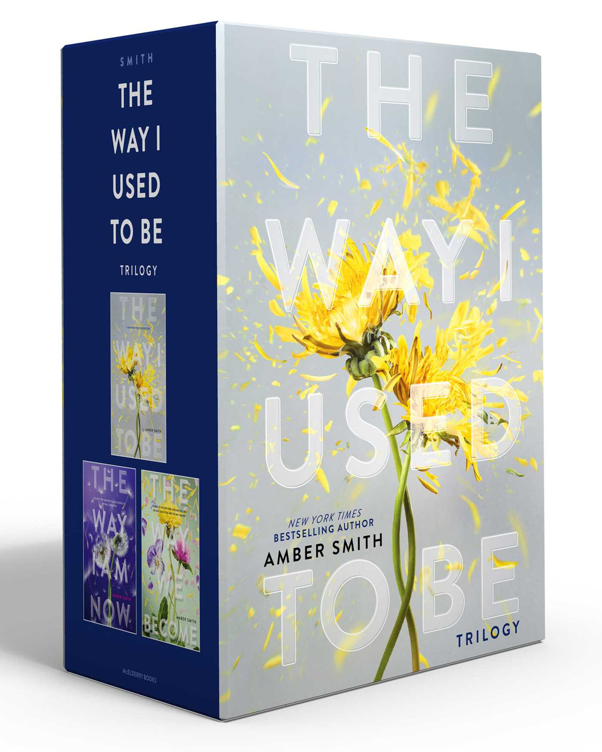 Way I Used to Be Trilogy (Boxed Set): The Way I Used to Be; The Way I Am Now; The Way We Become