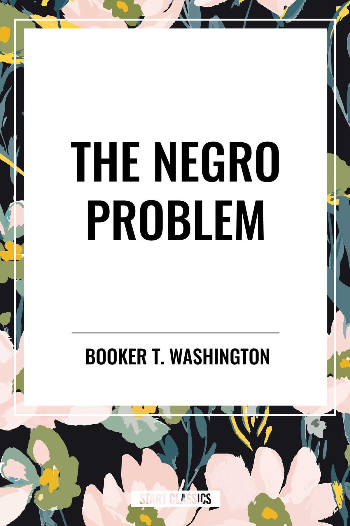 Negro Problem: An African American Heritage Book