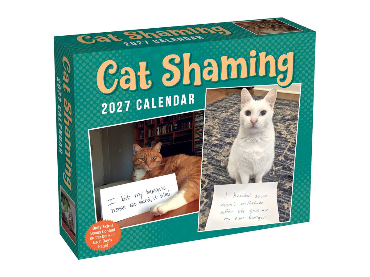 Cat Shaming 2027 Day-to-Day Calendar