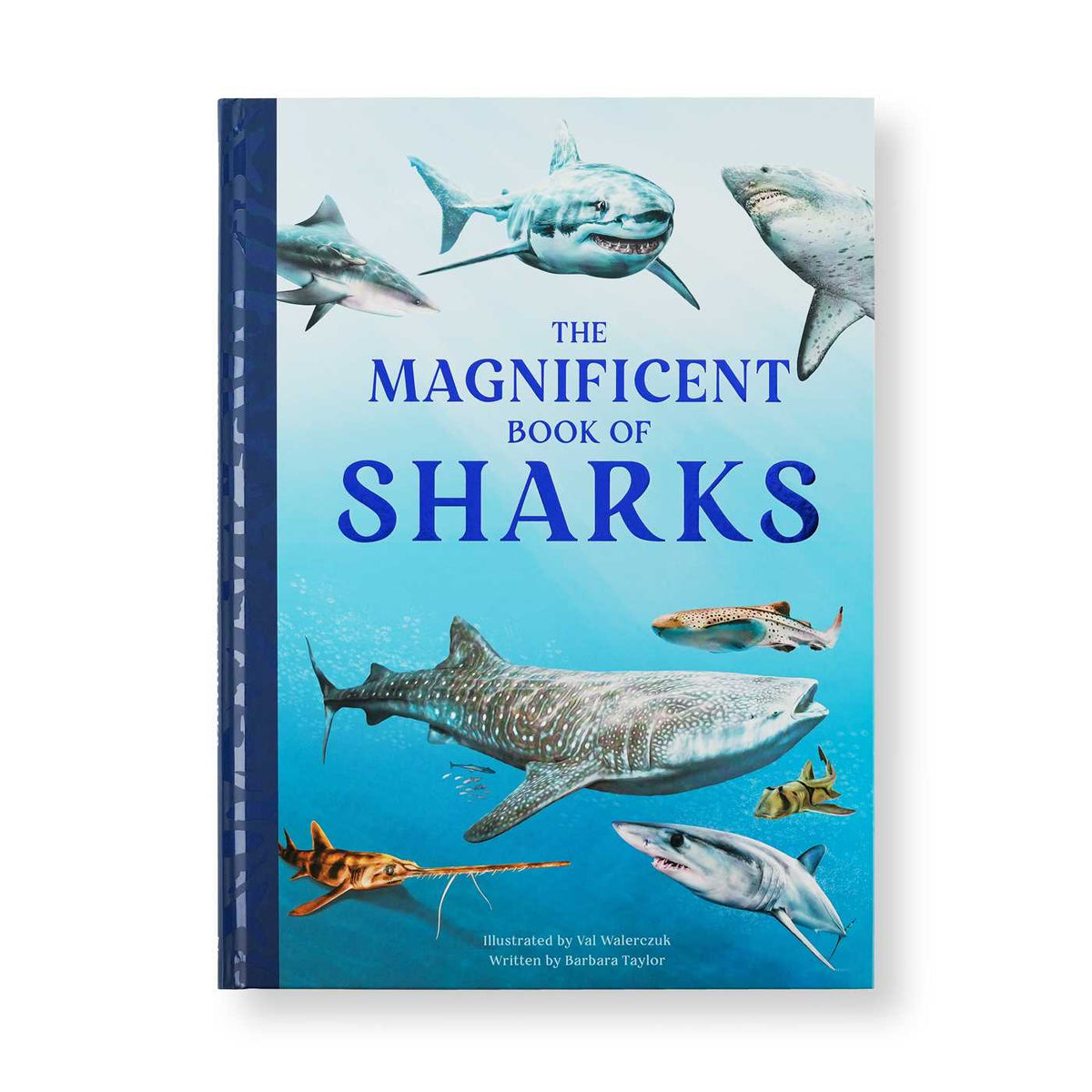 Magnificent Book of Sharks
