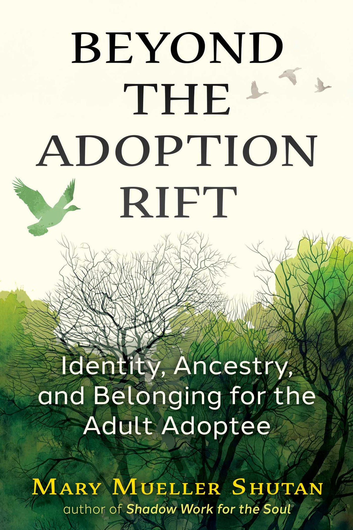 Beyond the Adoption Rift