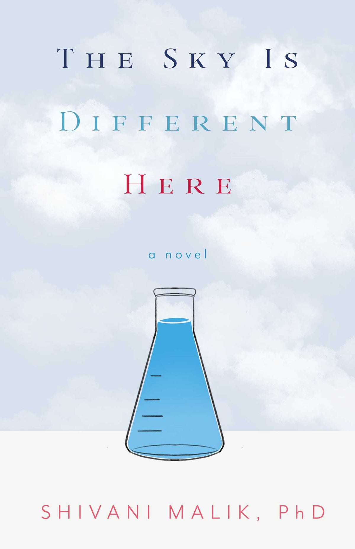 Sky is Different Here: A Novel