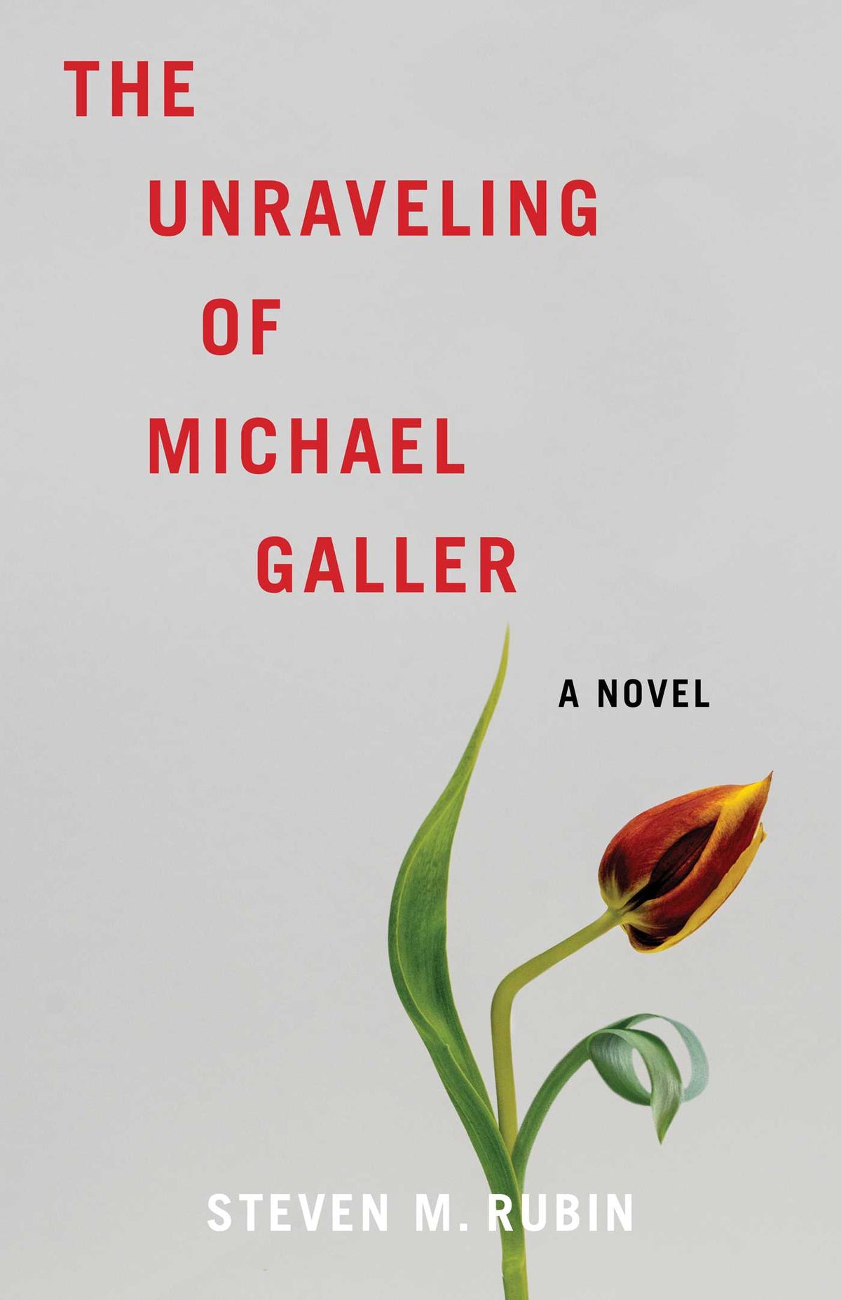 Unraveling of Michael Galler: A Novel