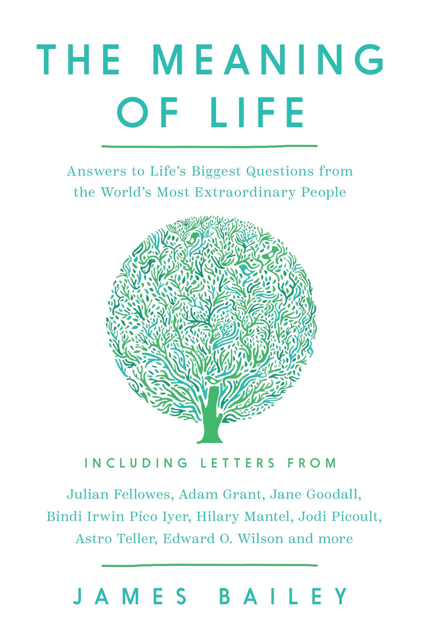 Meaning of Life: Answers to Life's Biggest Questions from the World's Most Extraordinary People