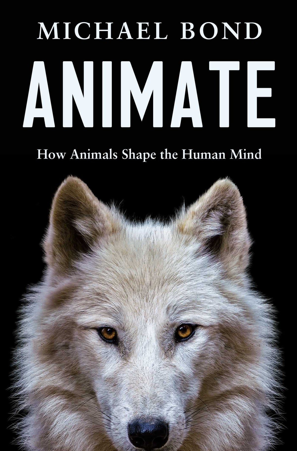 Animate