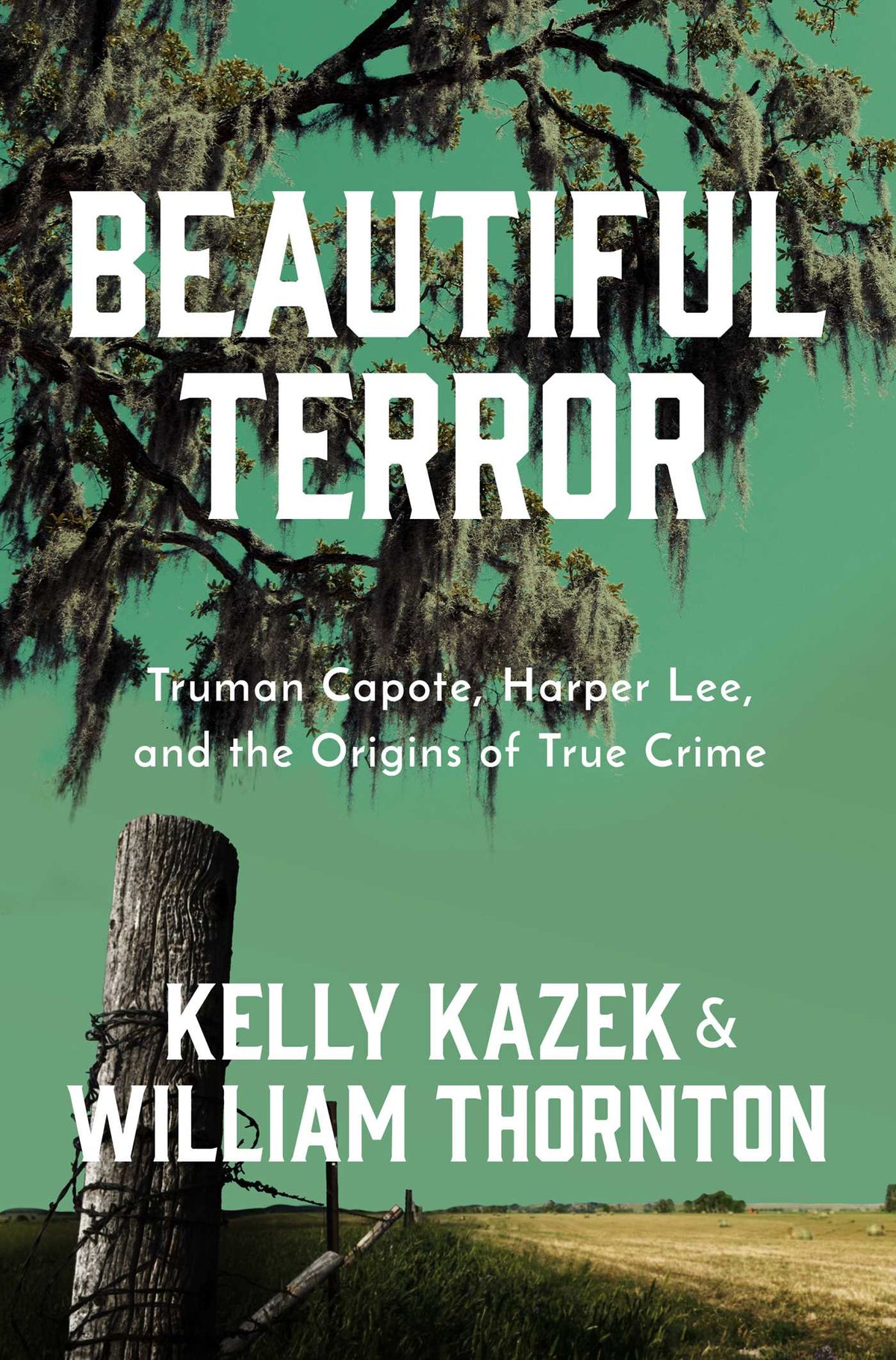 Beautiful Terror