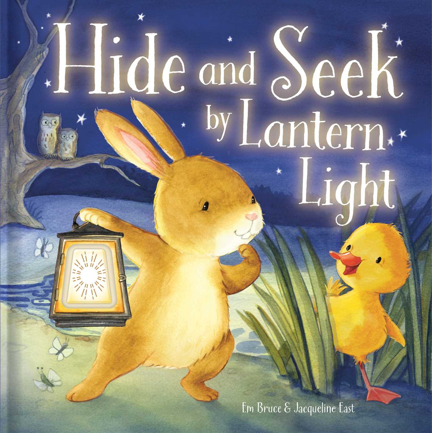 Hide and Seek by Lantern Light: Night Light Picture Book