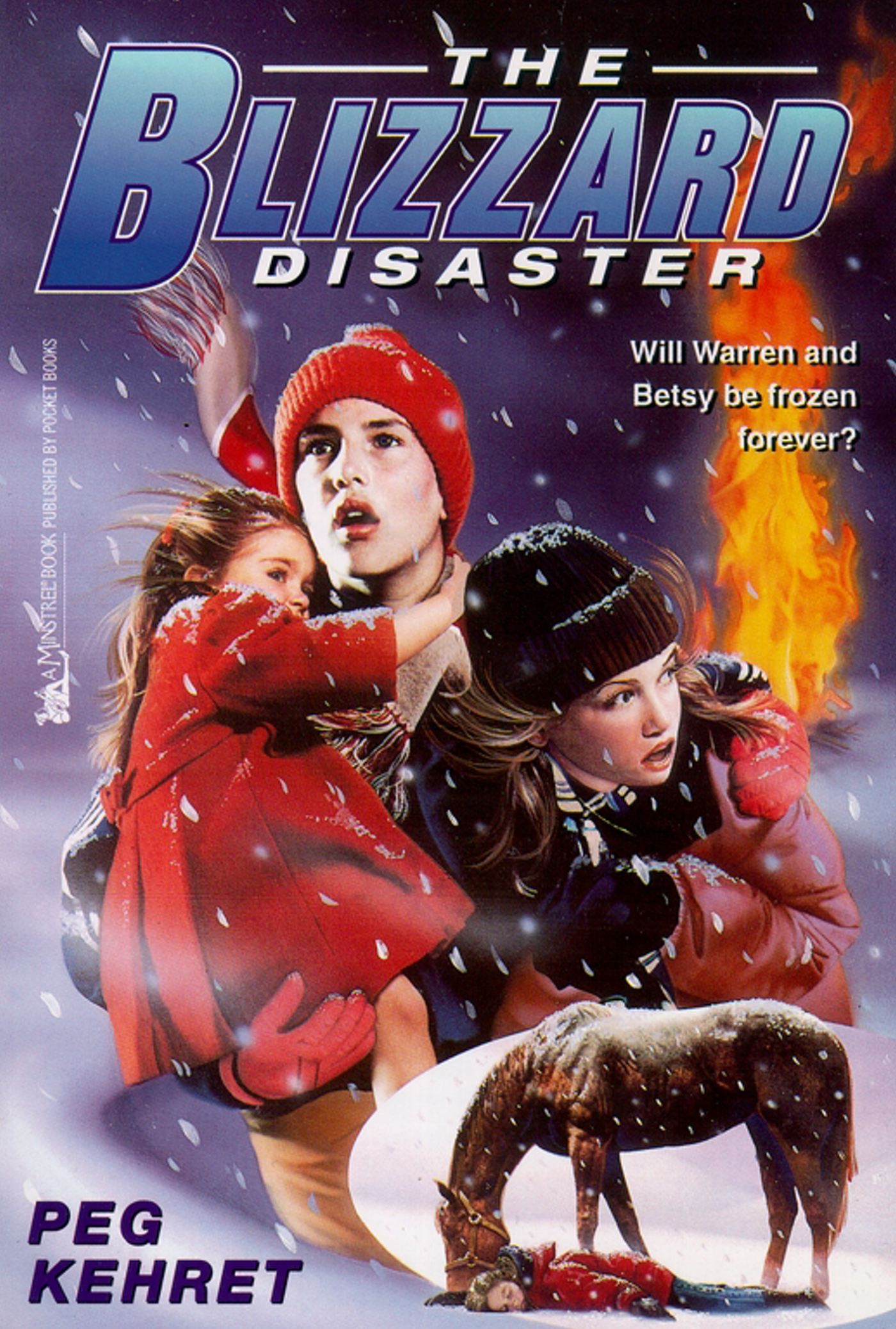 Blizzard Disaster