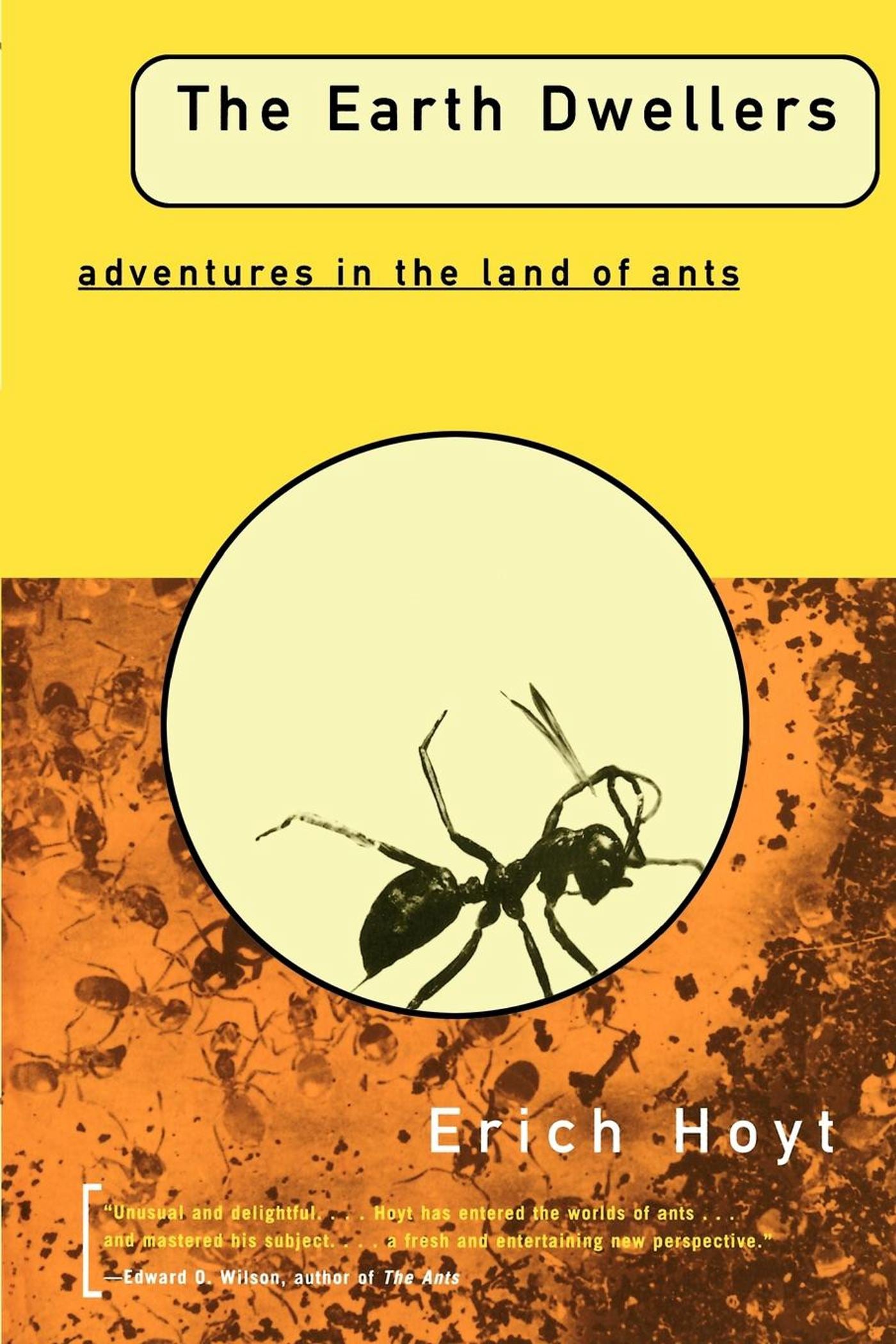 Earth Dwellers: Adventures in the Land of Ants