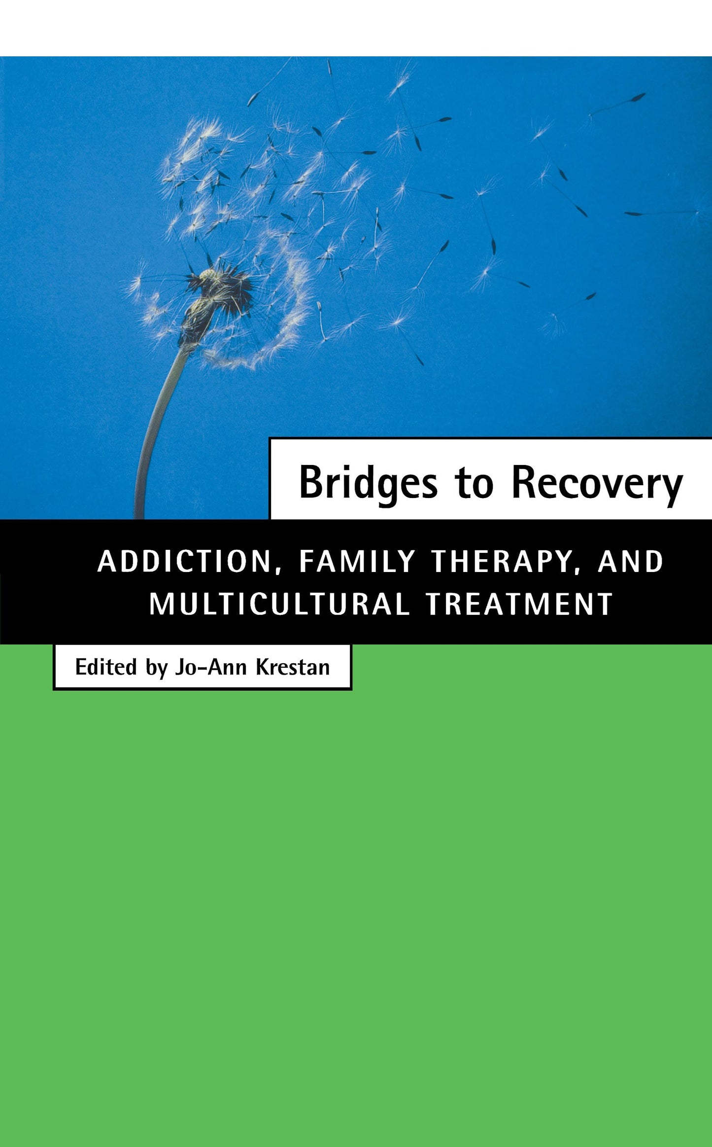 Bridges to Recovery