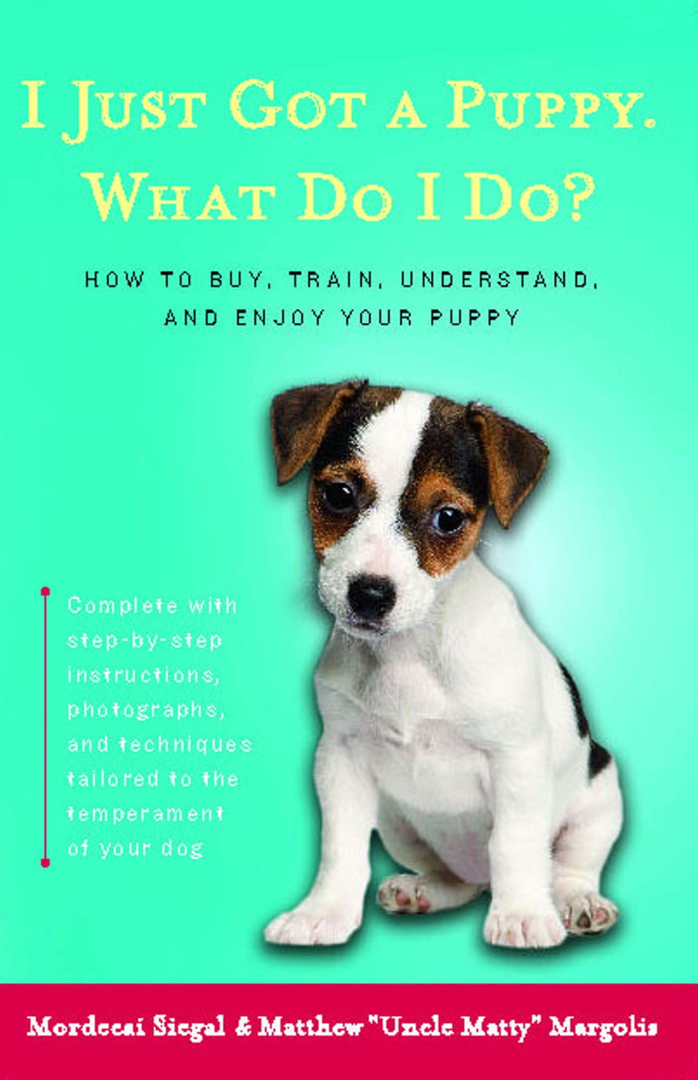 I Just Got a Puppy, What Do I Do?