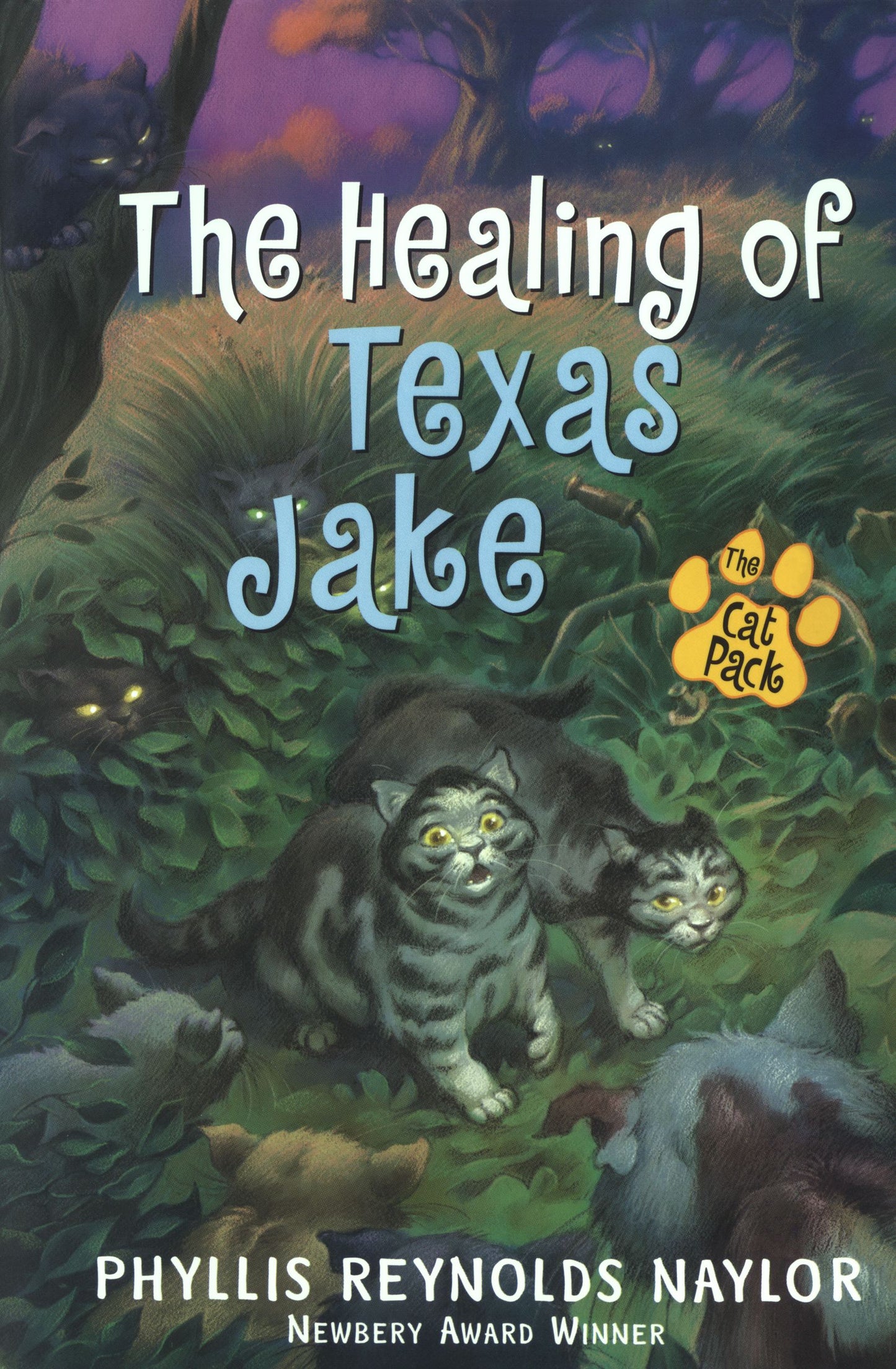 Healing of Texas Jake