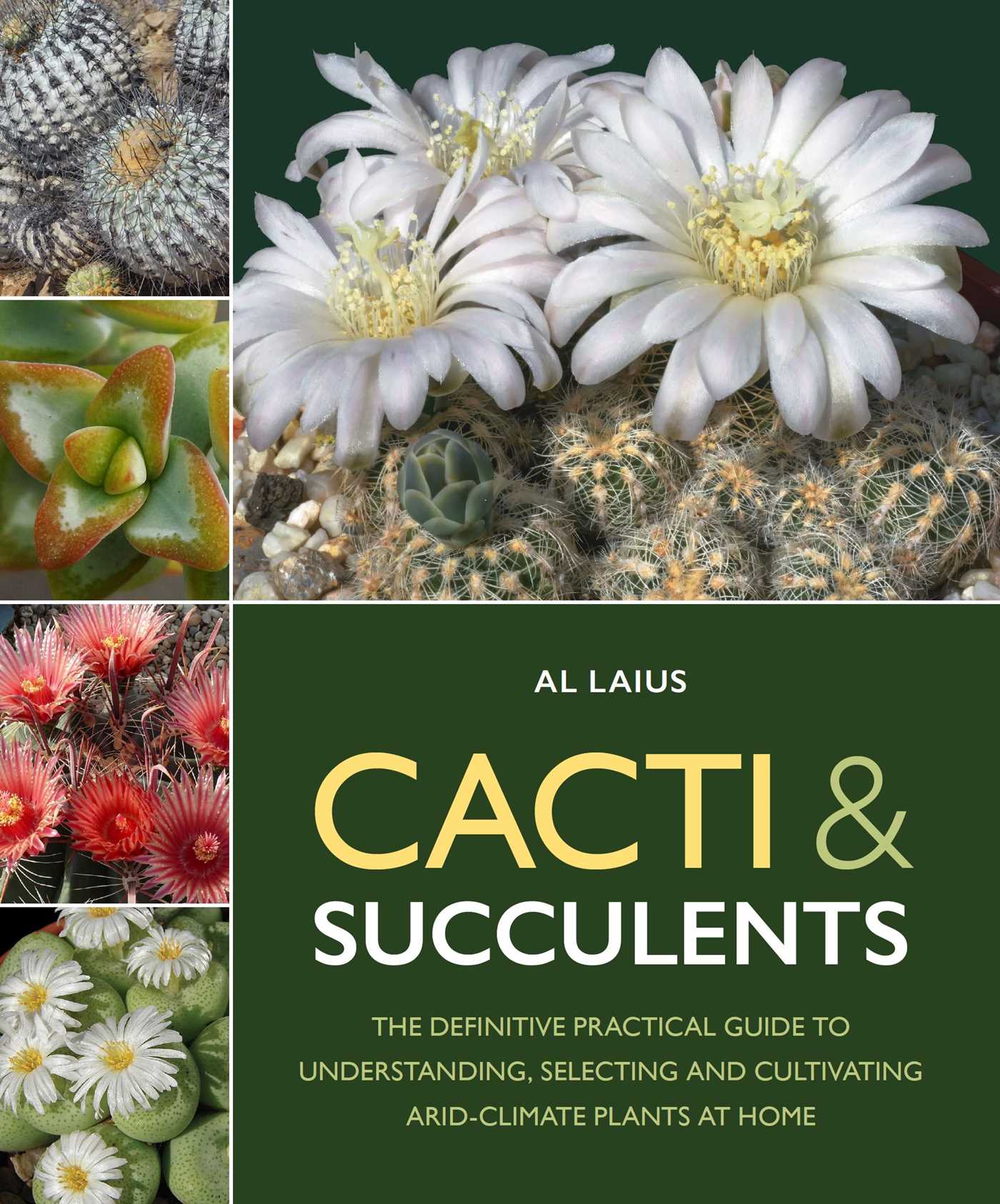 Cacti & Succulents