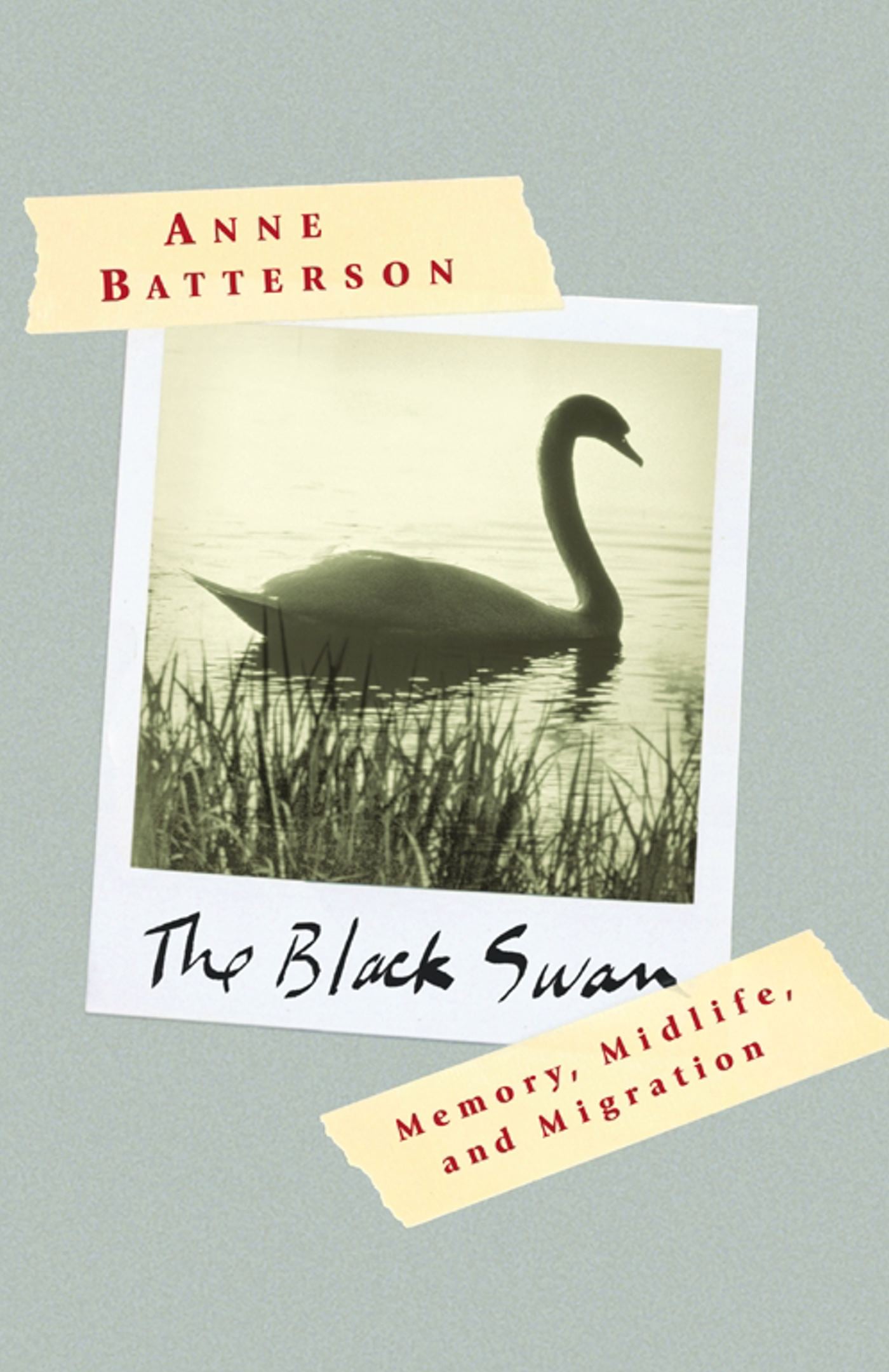 Black Swan: Memory, Midlife, and Migration