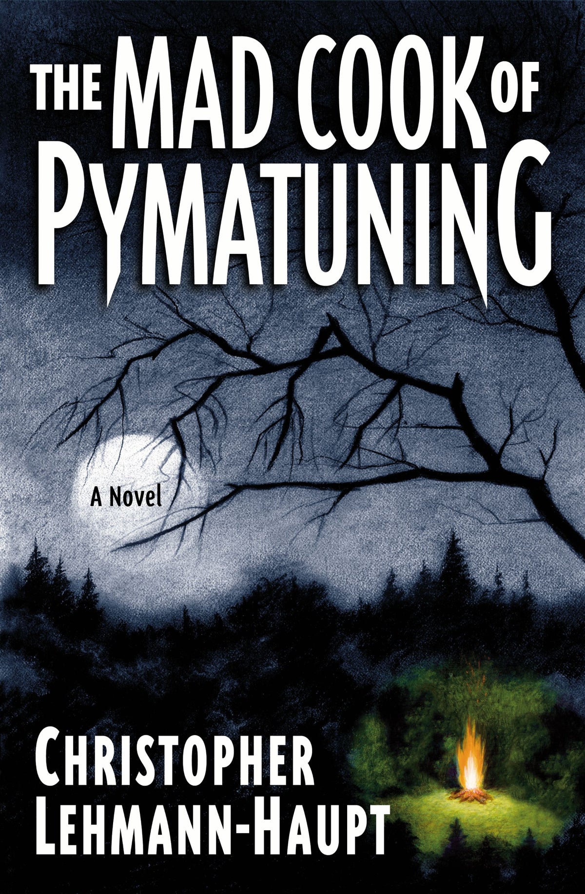 Mad Cook of Pymatuning: A Novel