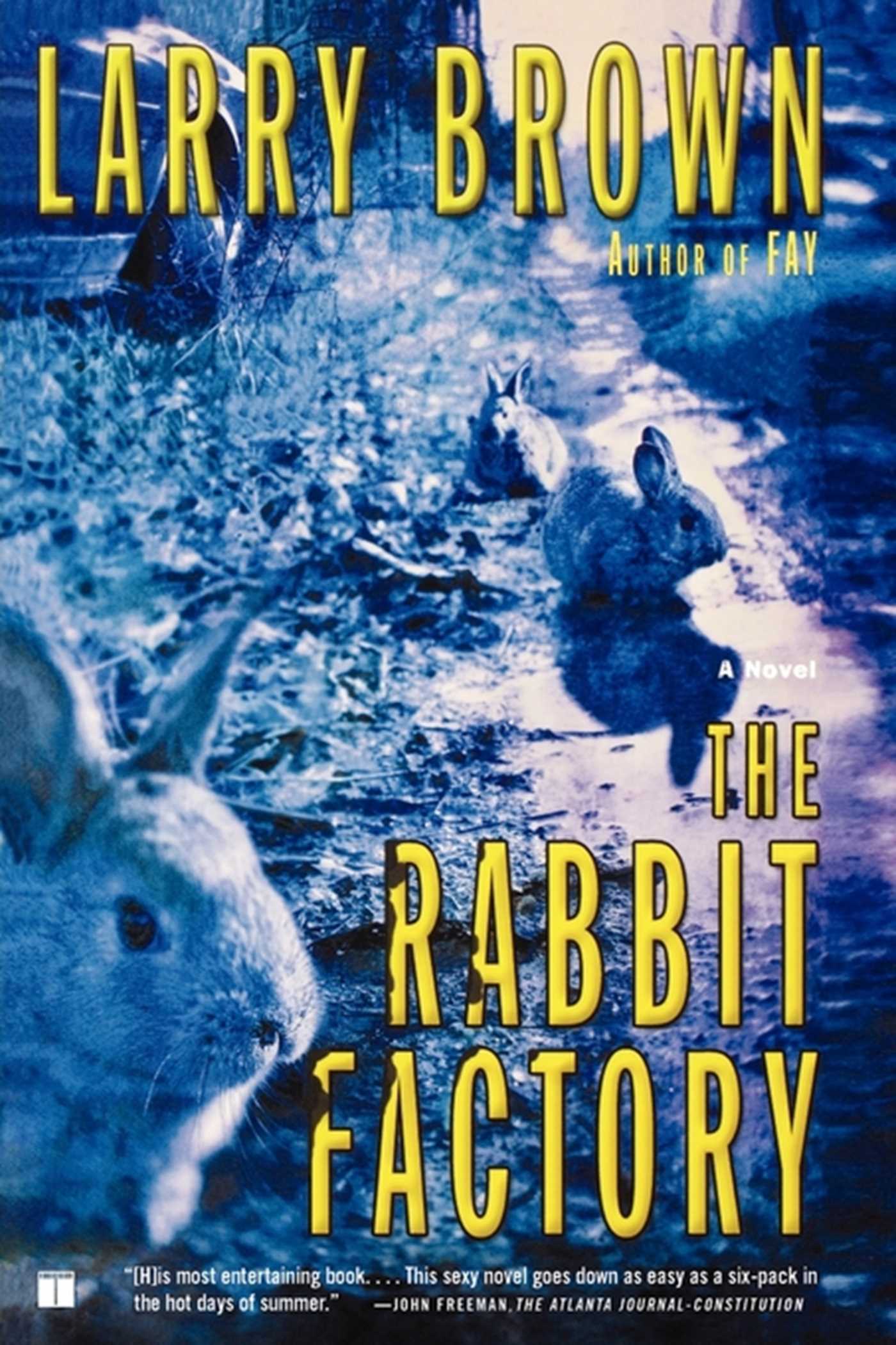 Rabbit Factory: A Novel