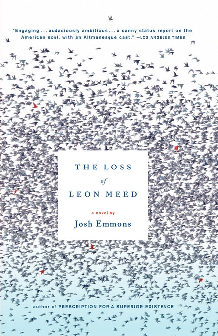Loss of Leon Meed: A Novel