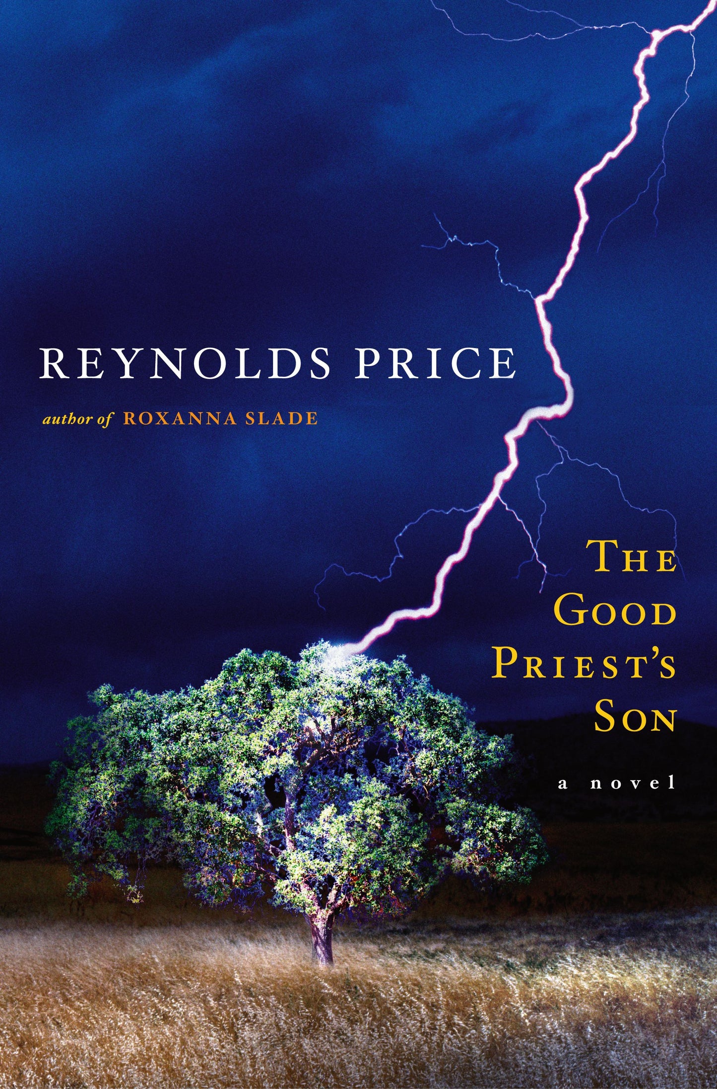 Good Priest's Son: A Novel