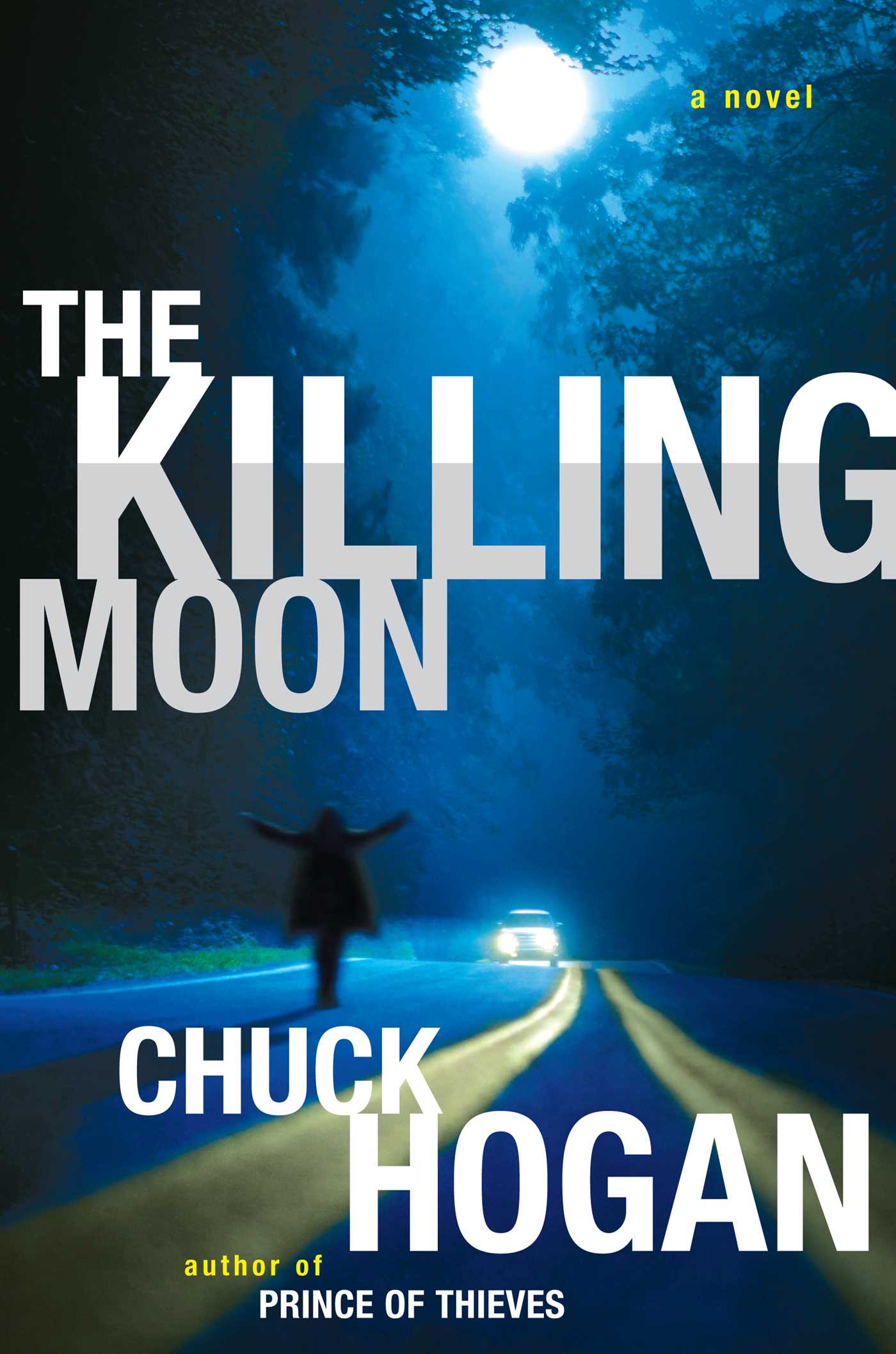 Killing Moon: A Novel