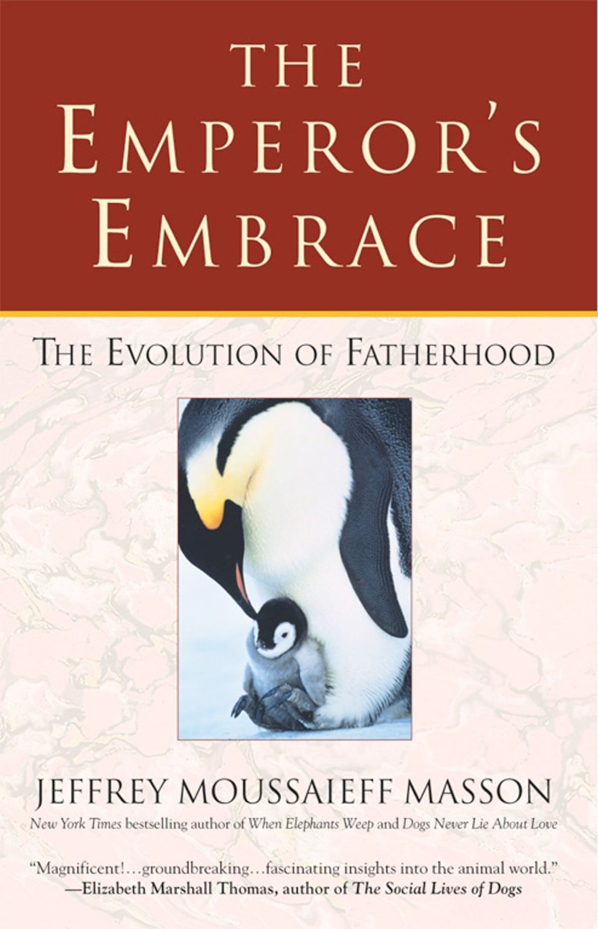 Emperor's Embrace: Reflections on Animal Families and Fatherhood