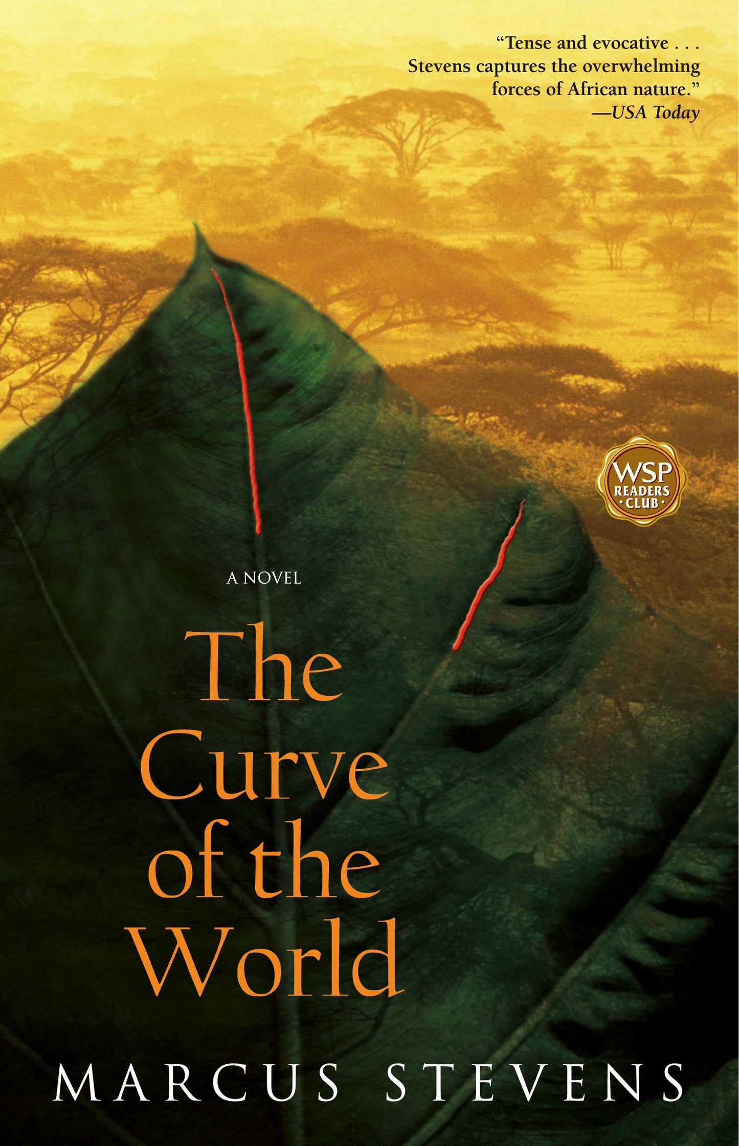 Curve of the World: A Novel