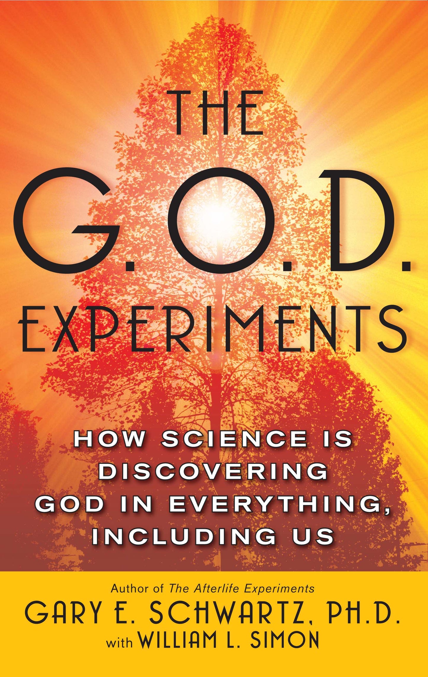 G.O.D. Experiments: How Science Is Discovering God In Everything, Including Us