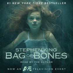 Bag Of Bones