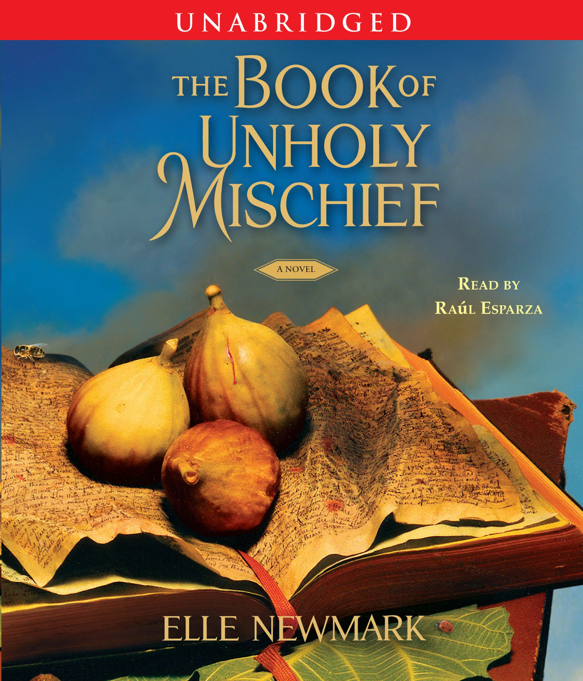 Book of Unholy Mischief: A Novel