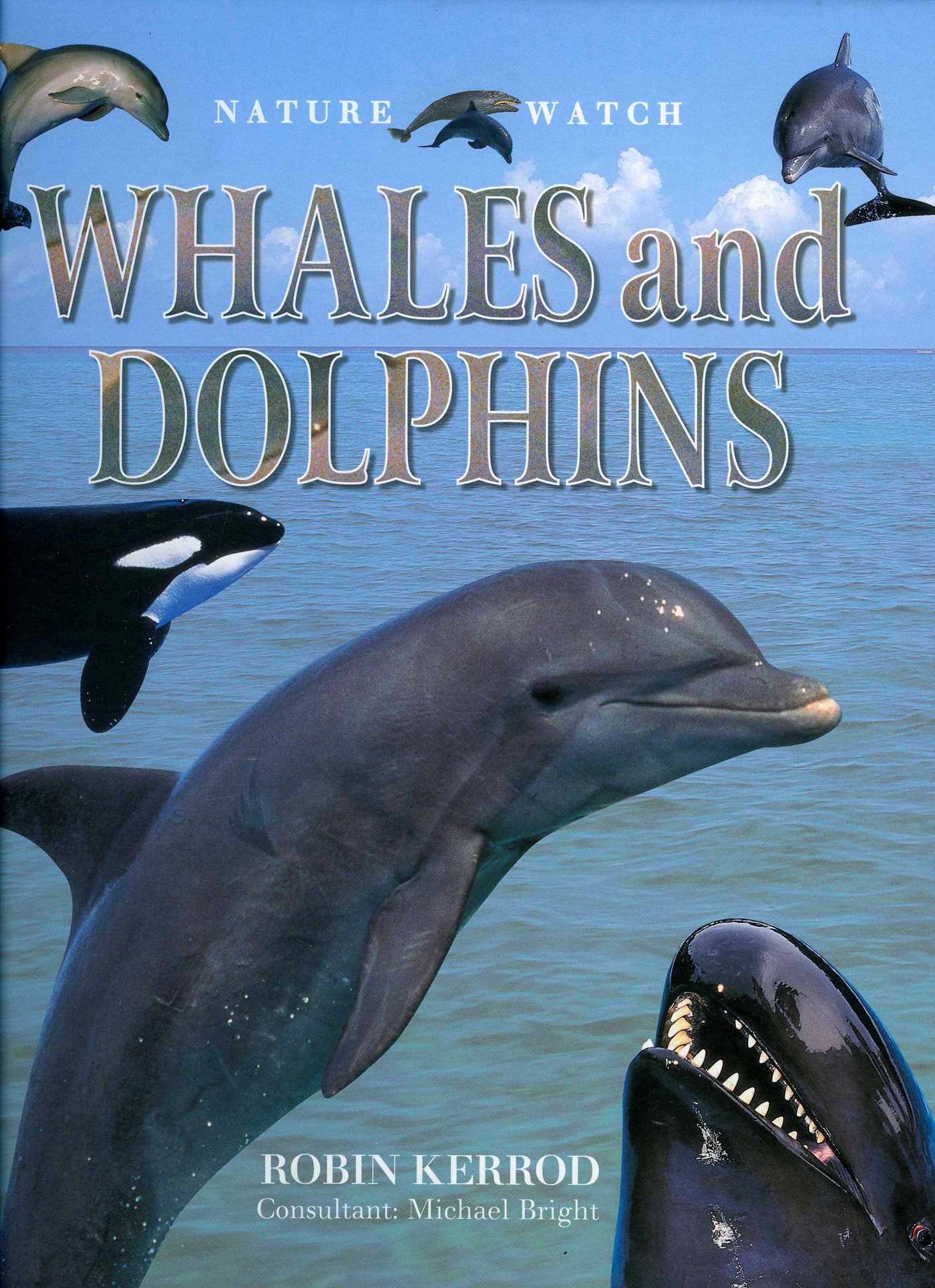 Nature Watch: Whales & Dolphins