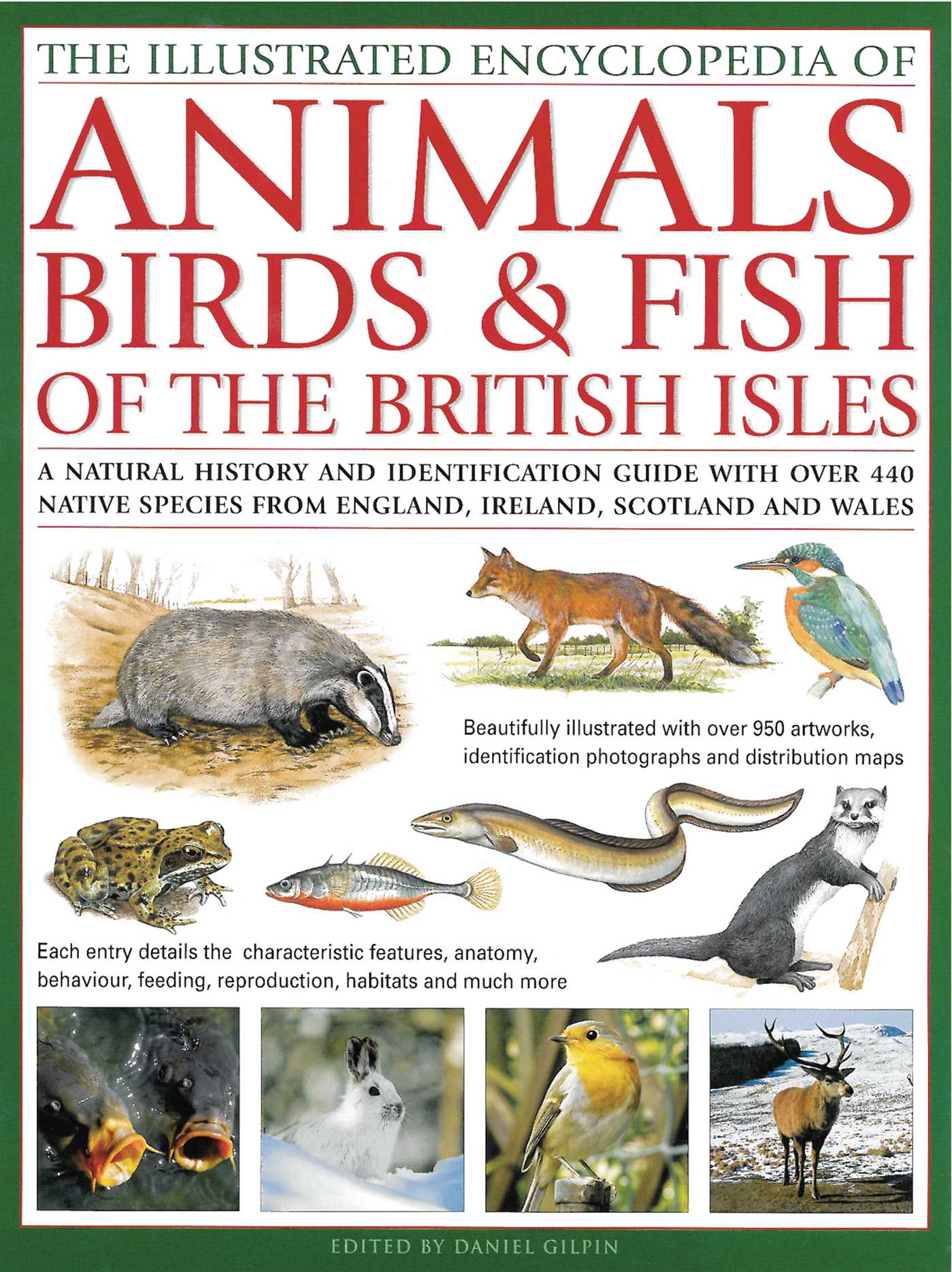 Illustrated Encyclopedia of Animals, Birds & Fish of British Isles