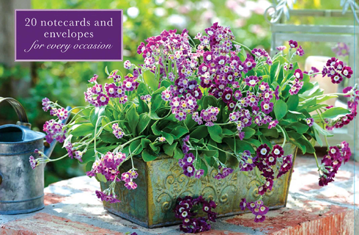 Card Box of 20 Notecards and Envelopes:  Primula