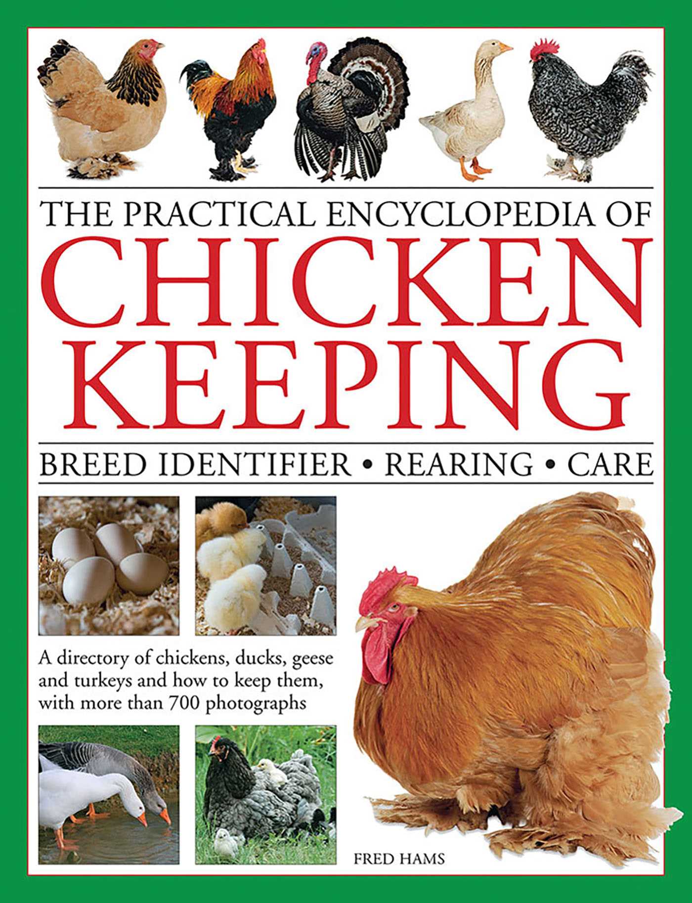 Practical Encyclopedia of Chicken Keeping: Breed Identifier - Rearing - Care