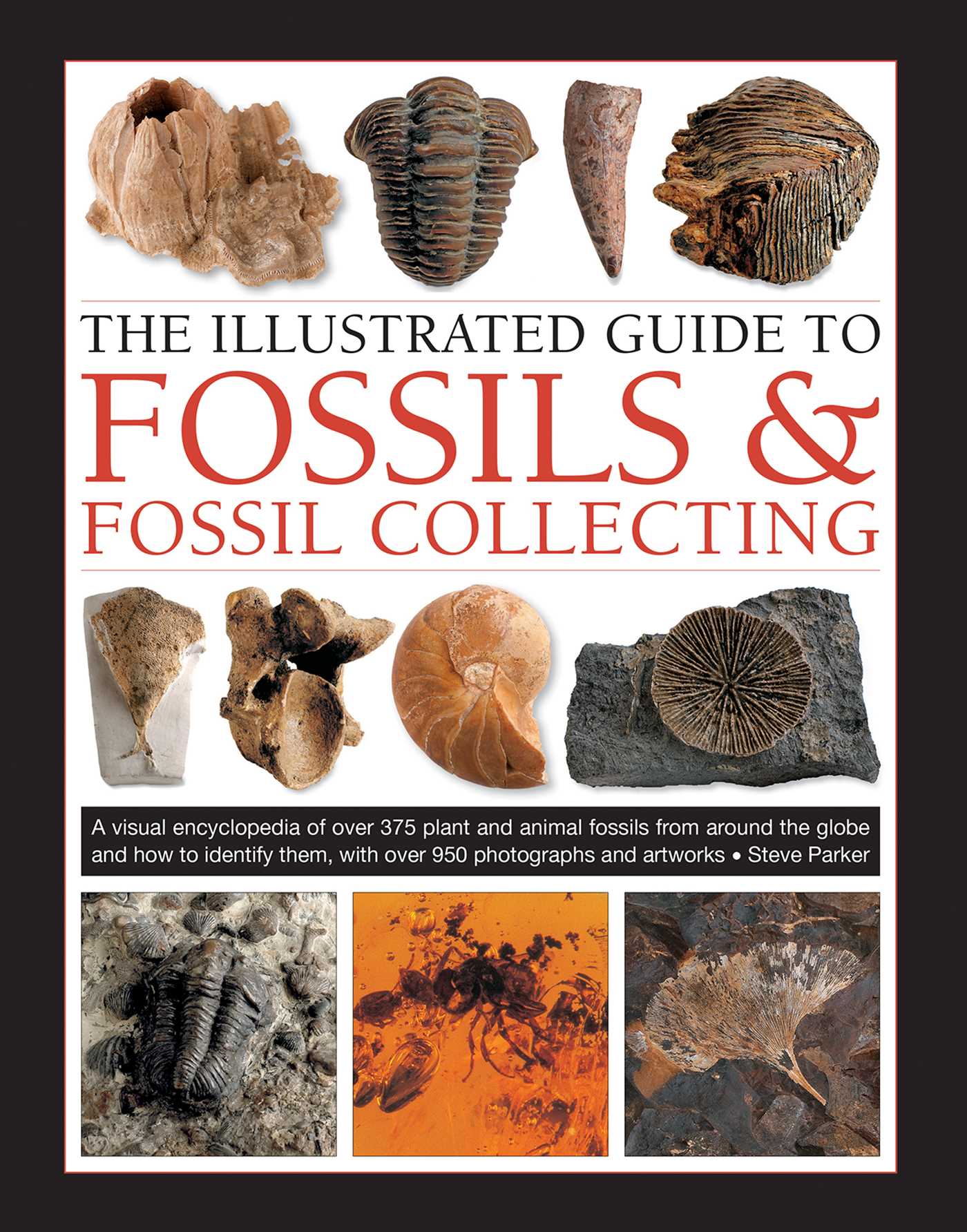 Illustrated Guide to Fossils & Fossil Collecting: A Reference Guide to Over 375 Plant and Animal Fossils from Around the Globe and How to Identify Them, with Over 950 Photographs and Artworks
