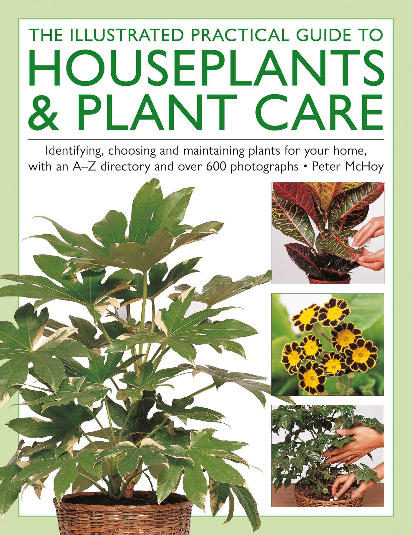 Houseplants & Plant Care, Illustrated Practical Guide to: Identifying, choosing and maintaining plants for your home, with an A–Z directory and over 600 photographs