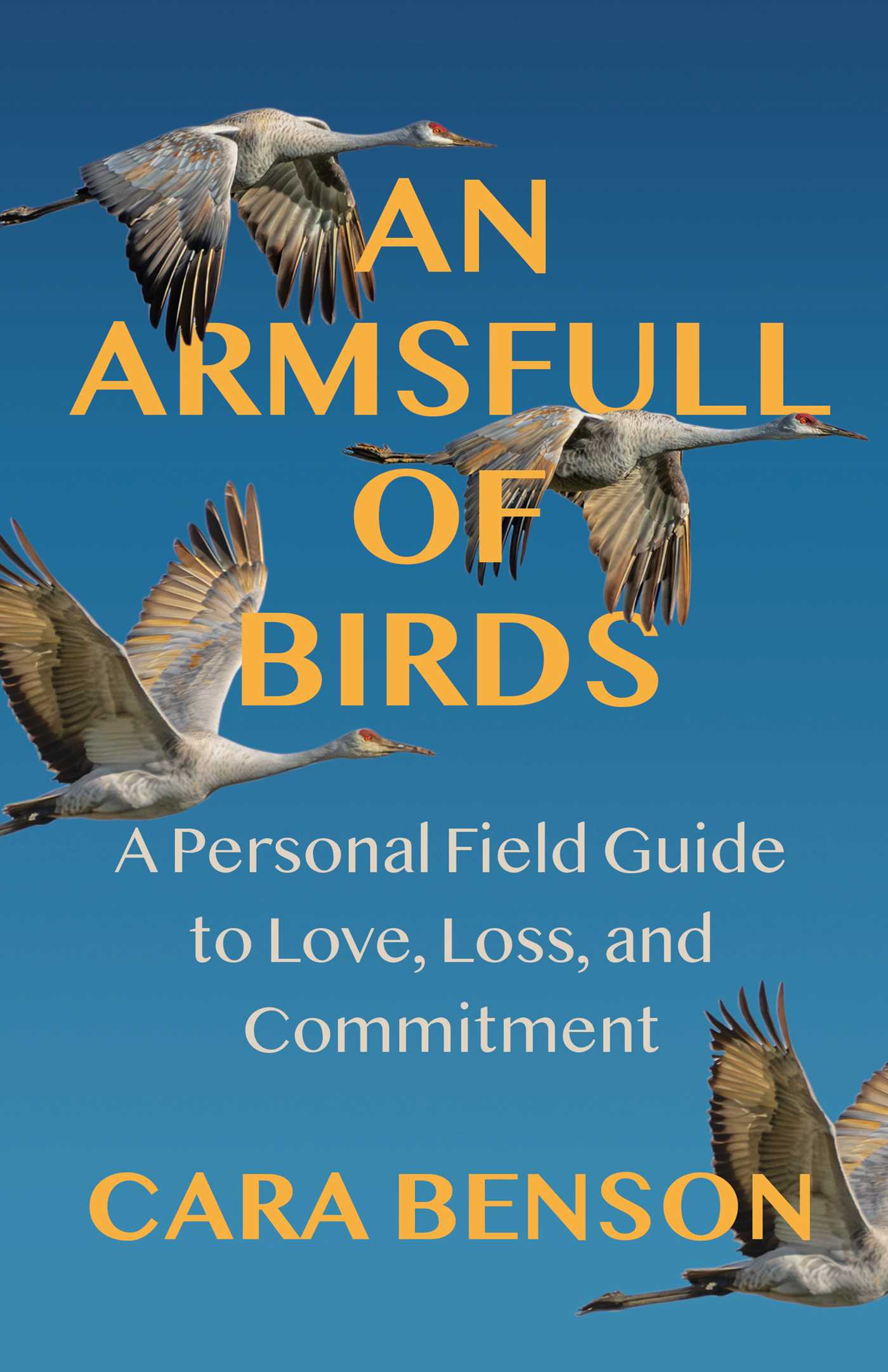 An Armsfull of Birds