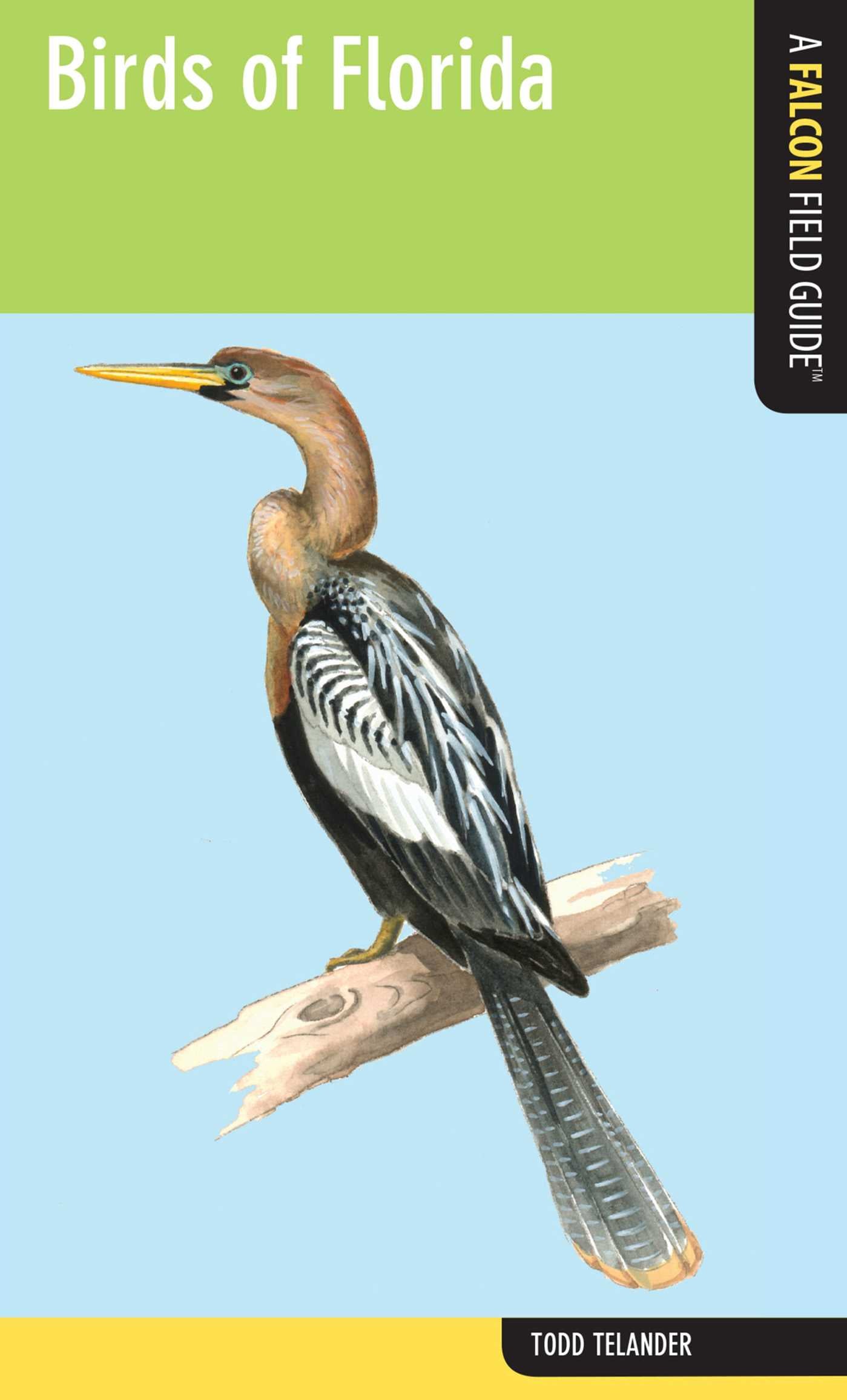 Birds of Florida
