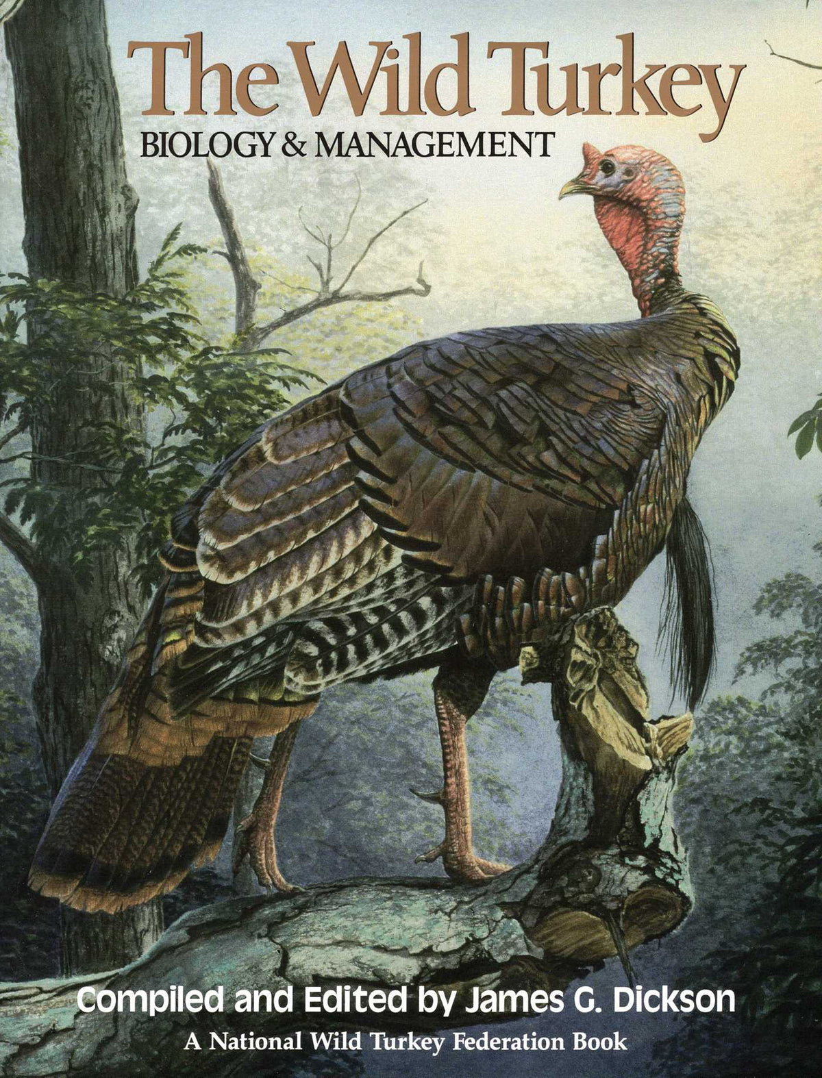 Wild Turkey