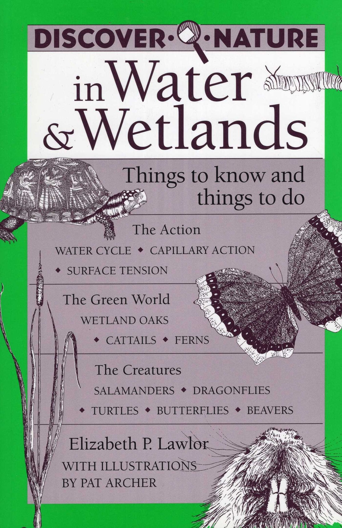 Discover Nature in Water & Wetlands
