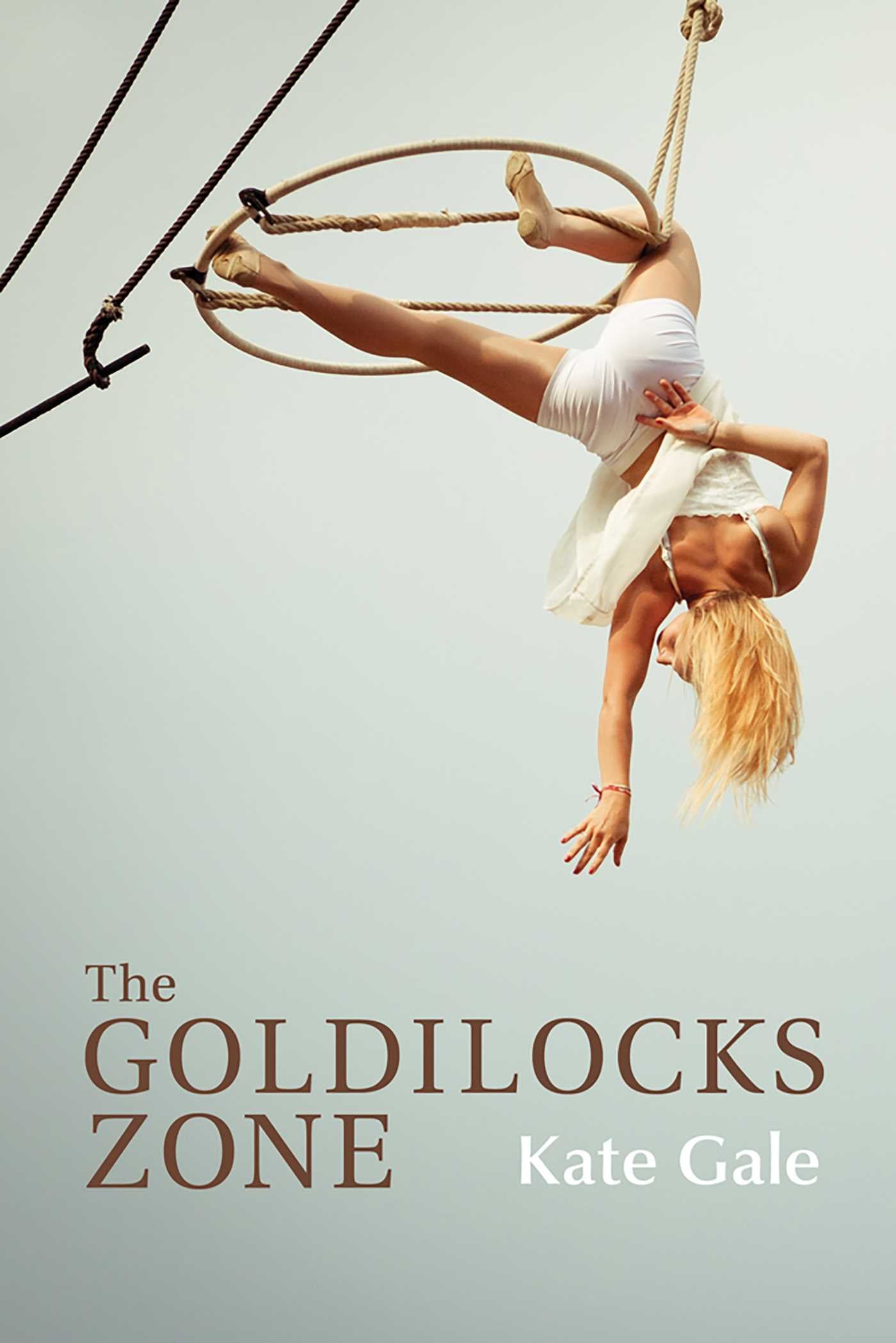 Goldilocks Zone