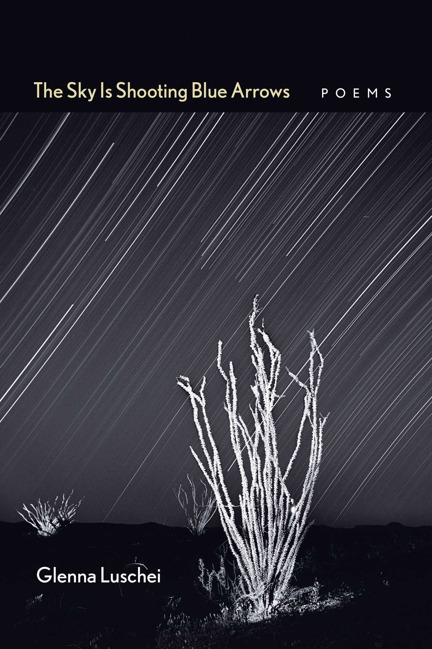 Sky Is Shooting Blue Arrows: Poems