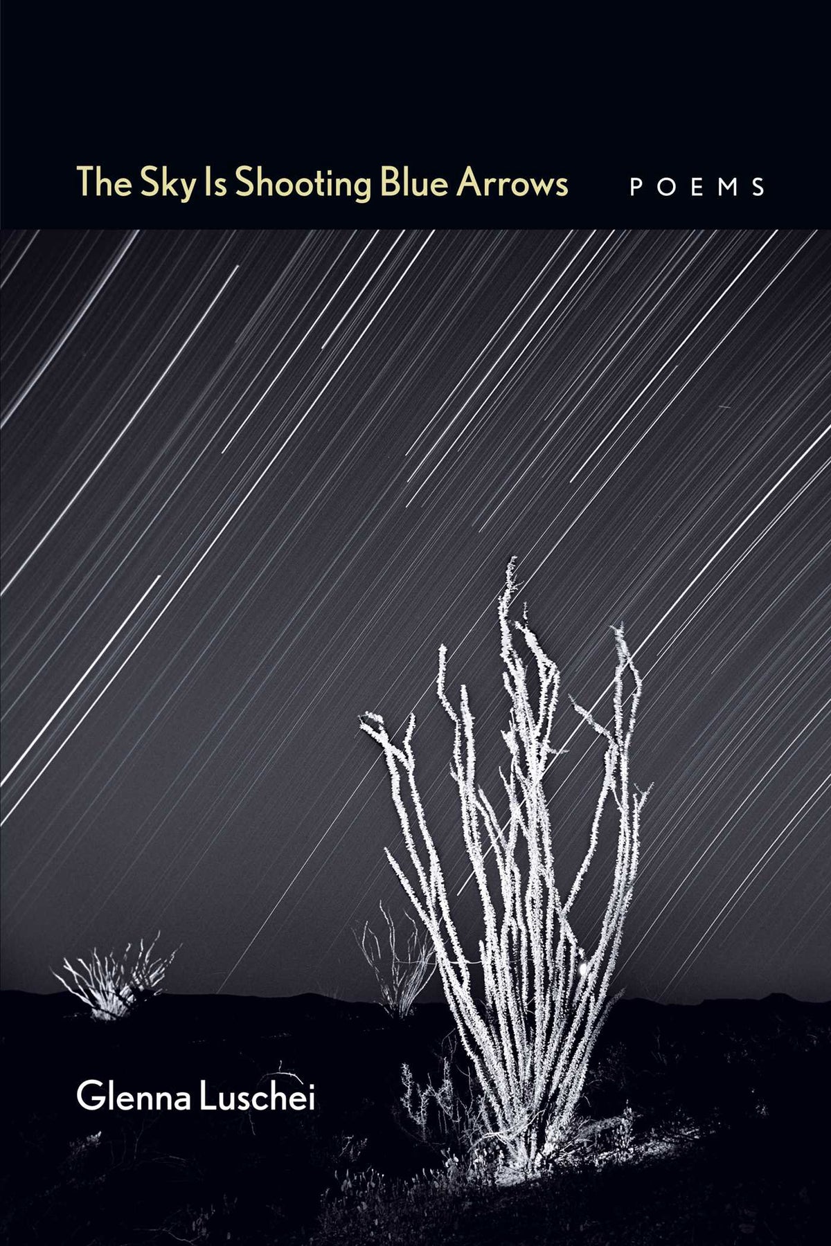 Sky Is Shooting Blue Arrows: Poems