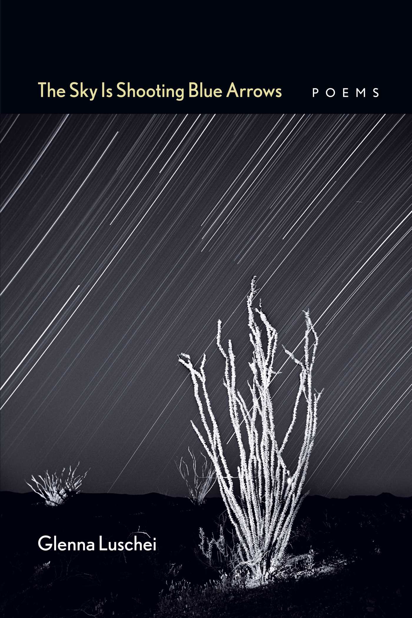 Sky Is Shooting Blue Arrows: Poems