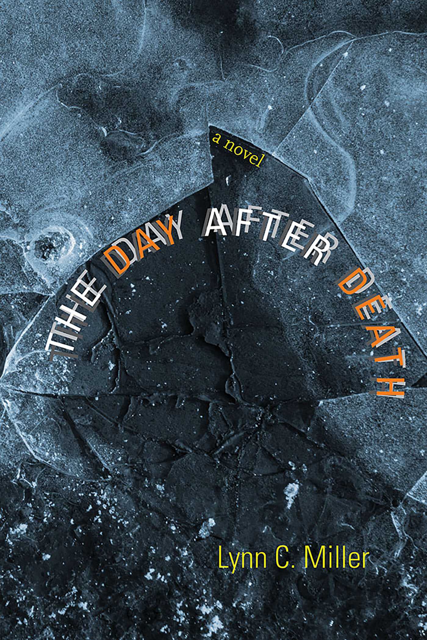 Day after Death: A Novel