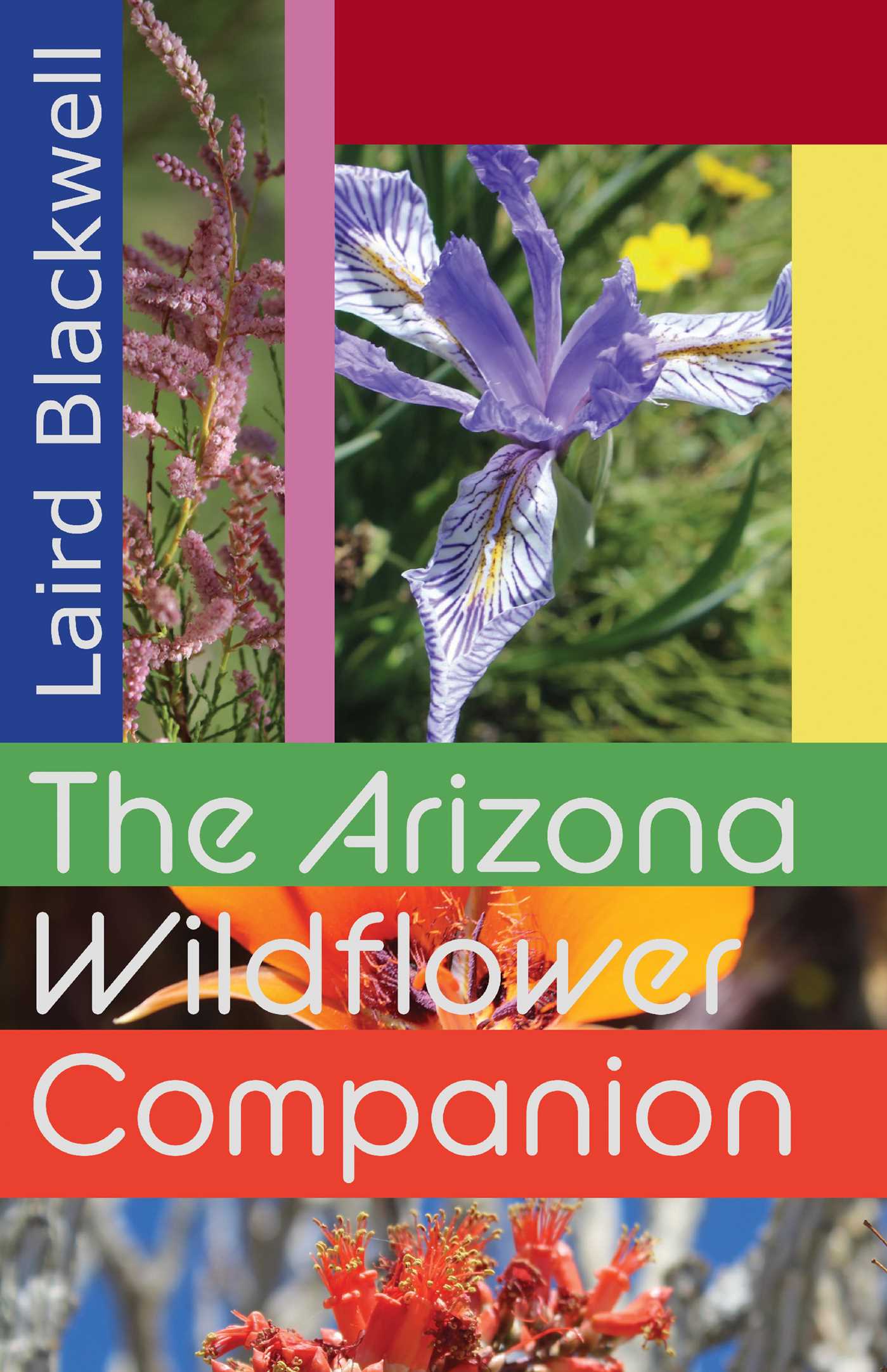 Arizona Wildflower Companion