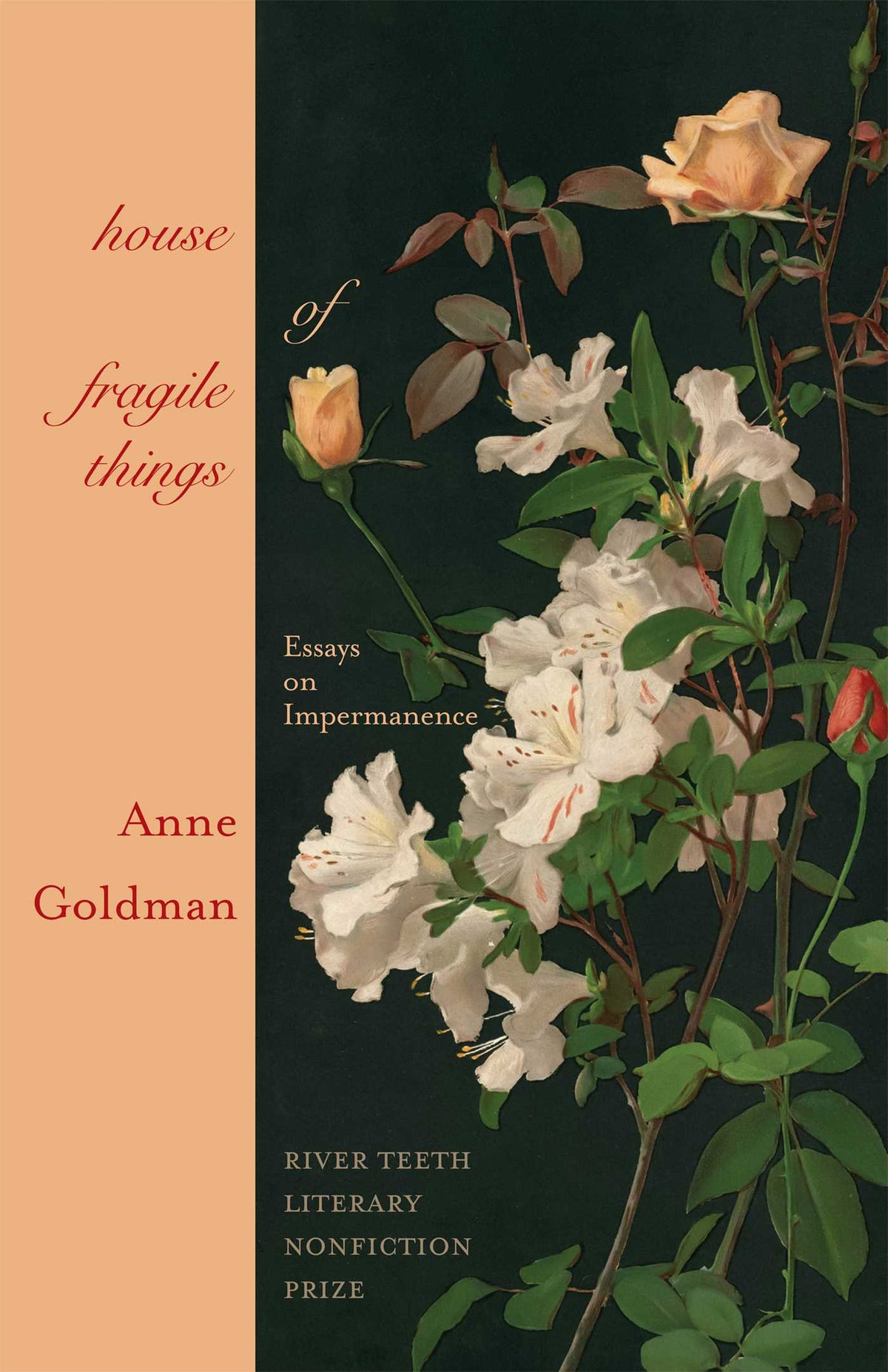House of Fragile Things