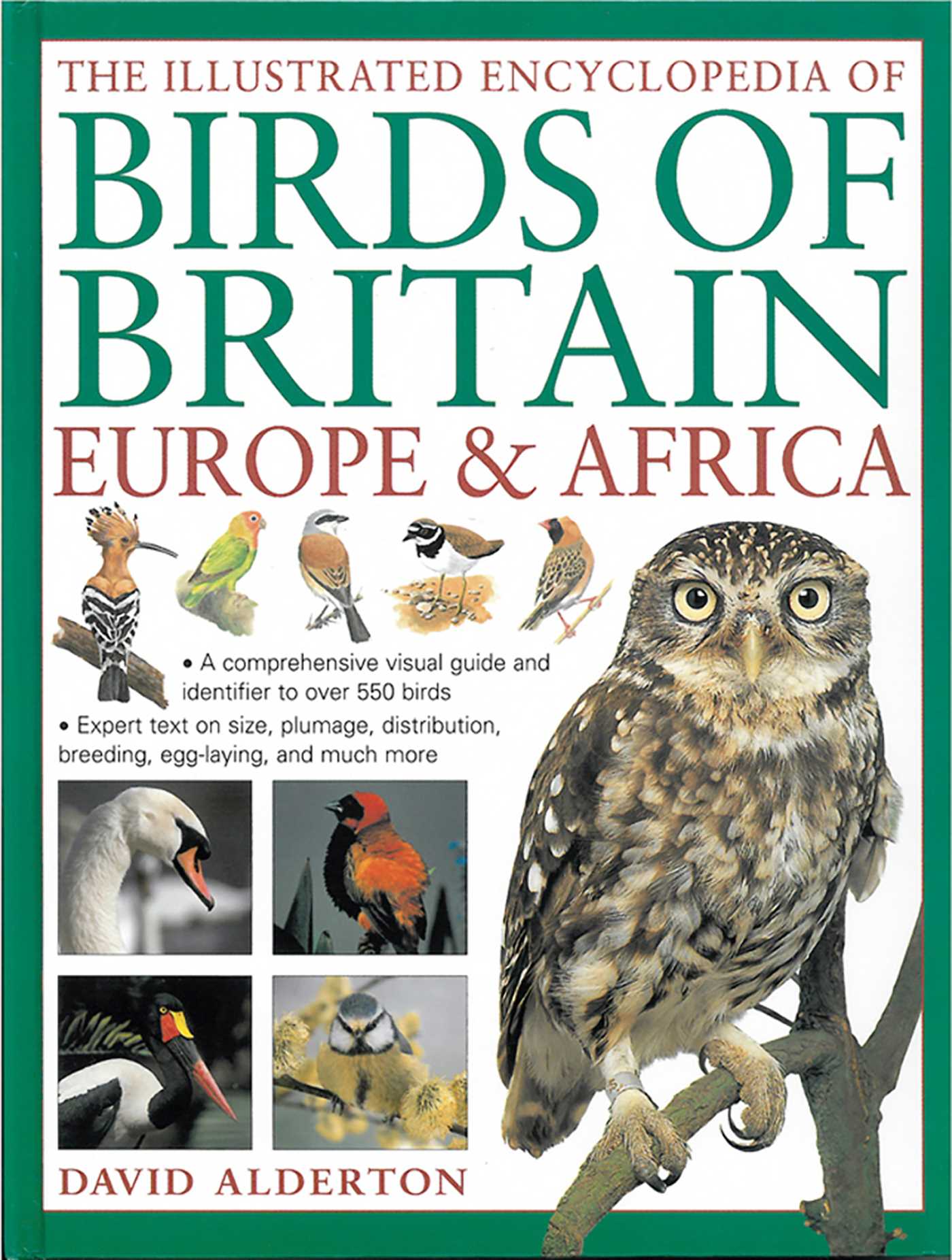 Illustrated Encyclopedia of Birds of Britain, Europe & Africa: A Comprehensive Visual Guide And Identifier To Over 550 Birds