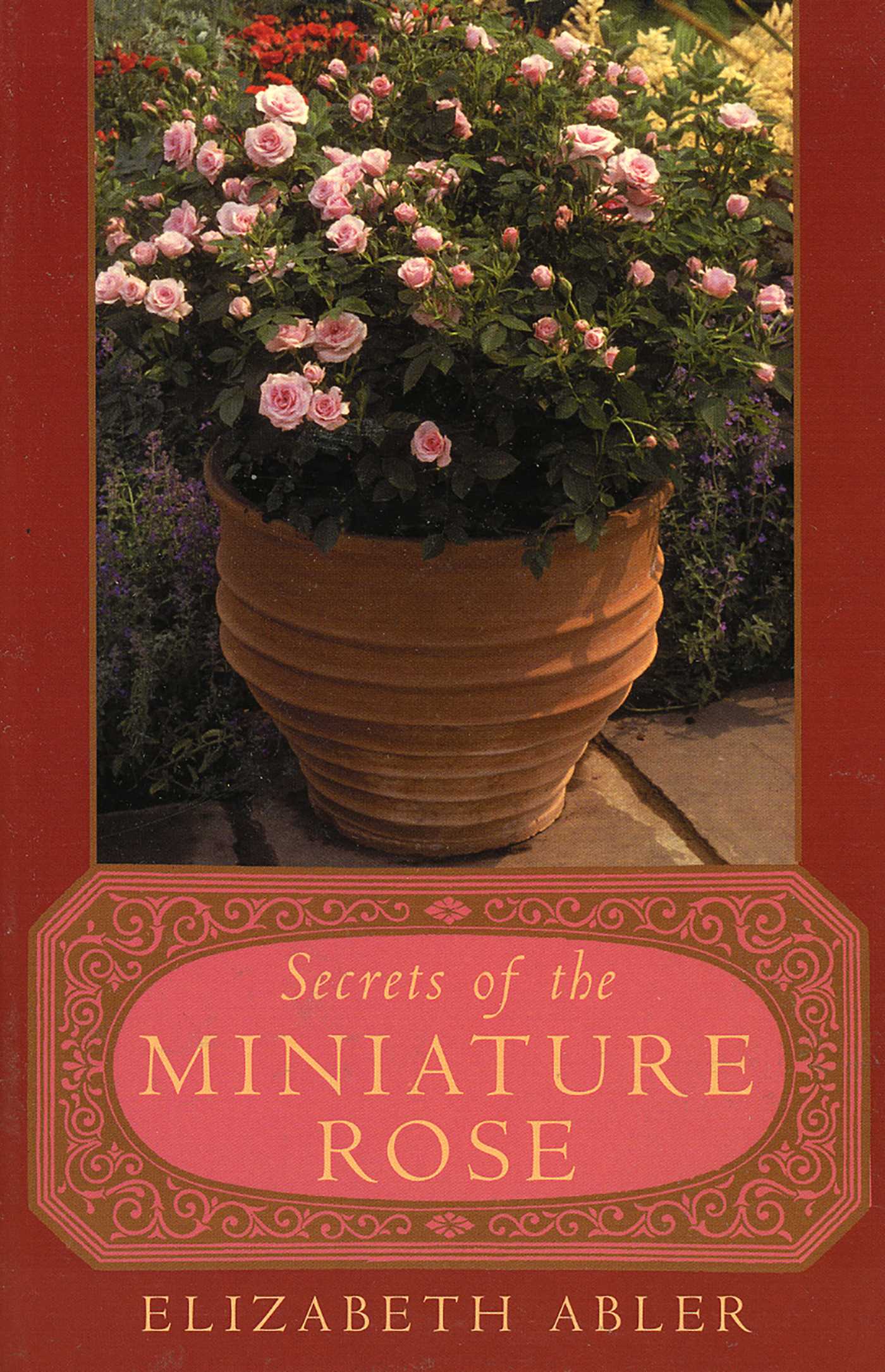 Secrets of the Miniature Rose