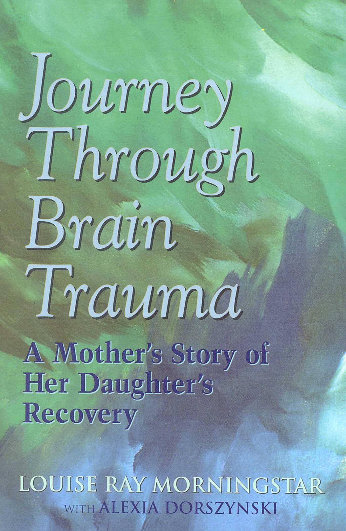 Journey Through Brain Trauma