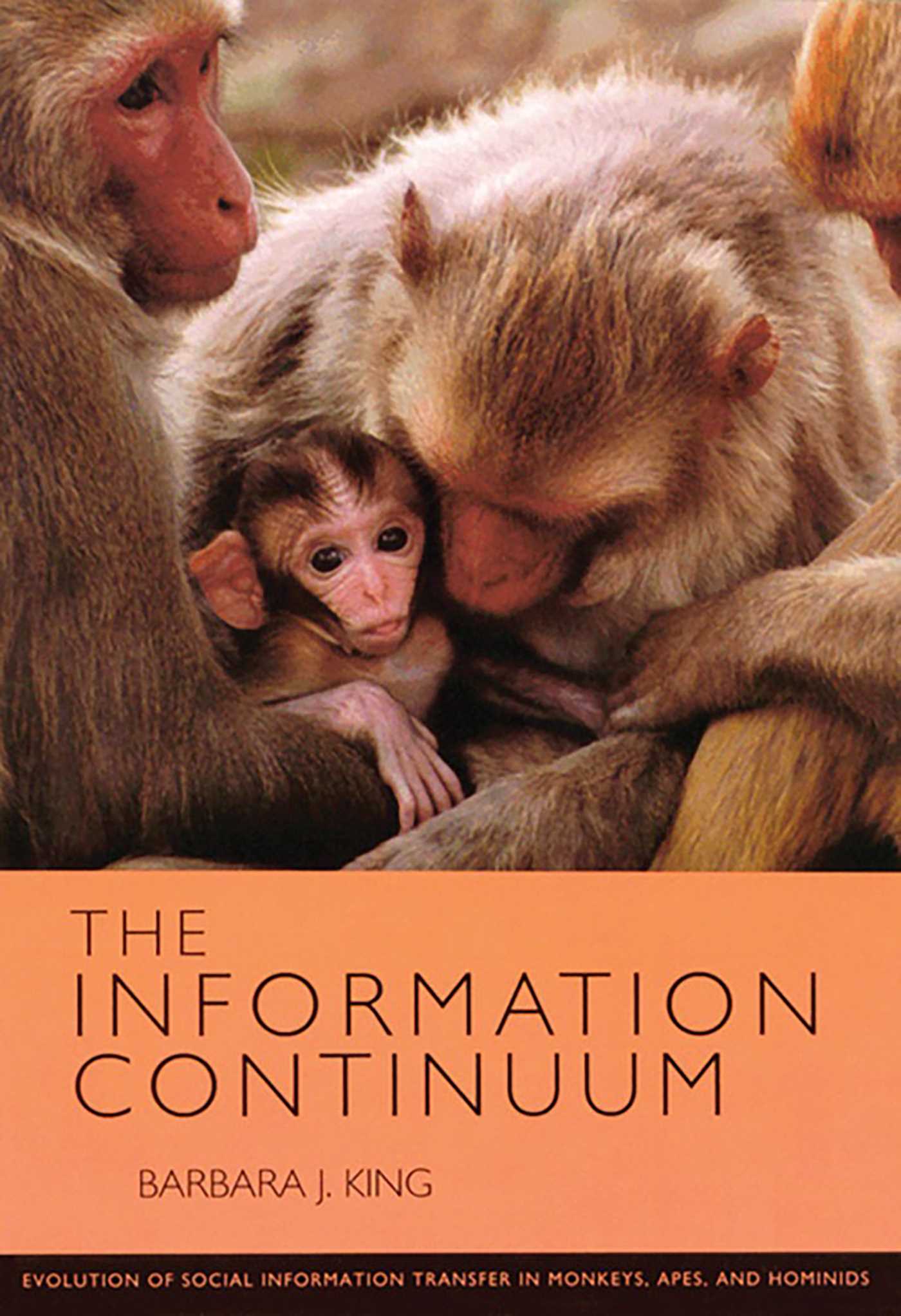 Information Continuum: Evolution of Social Information Transfer in Monkeys, Apes, and Hominids