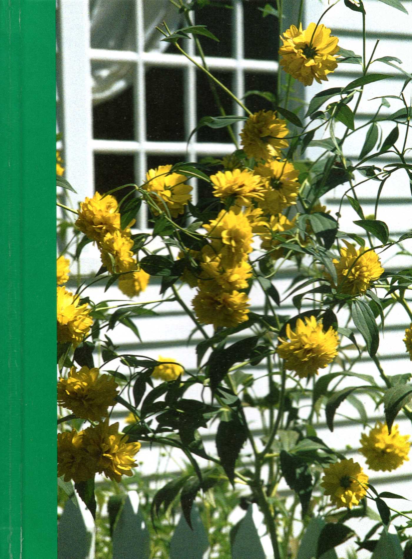 Window Breeze Book Of Days